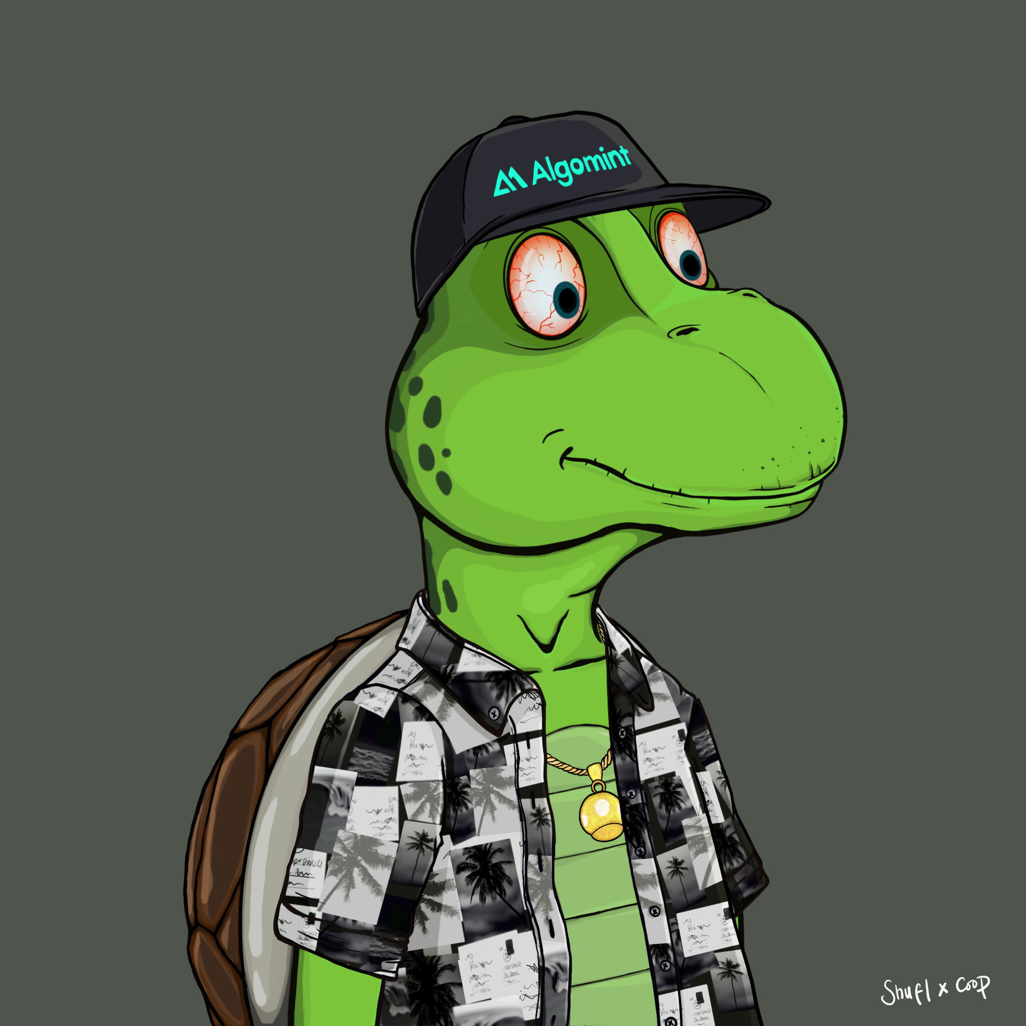 Coopa Troopa #2344 NFT on Algorand