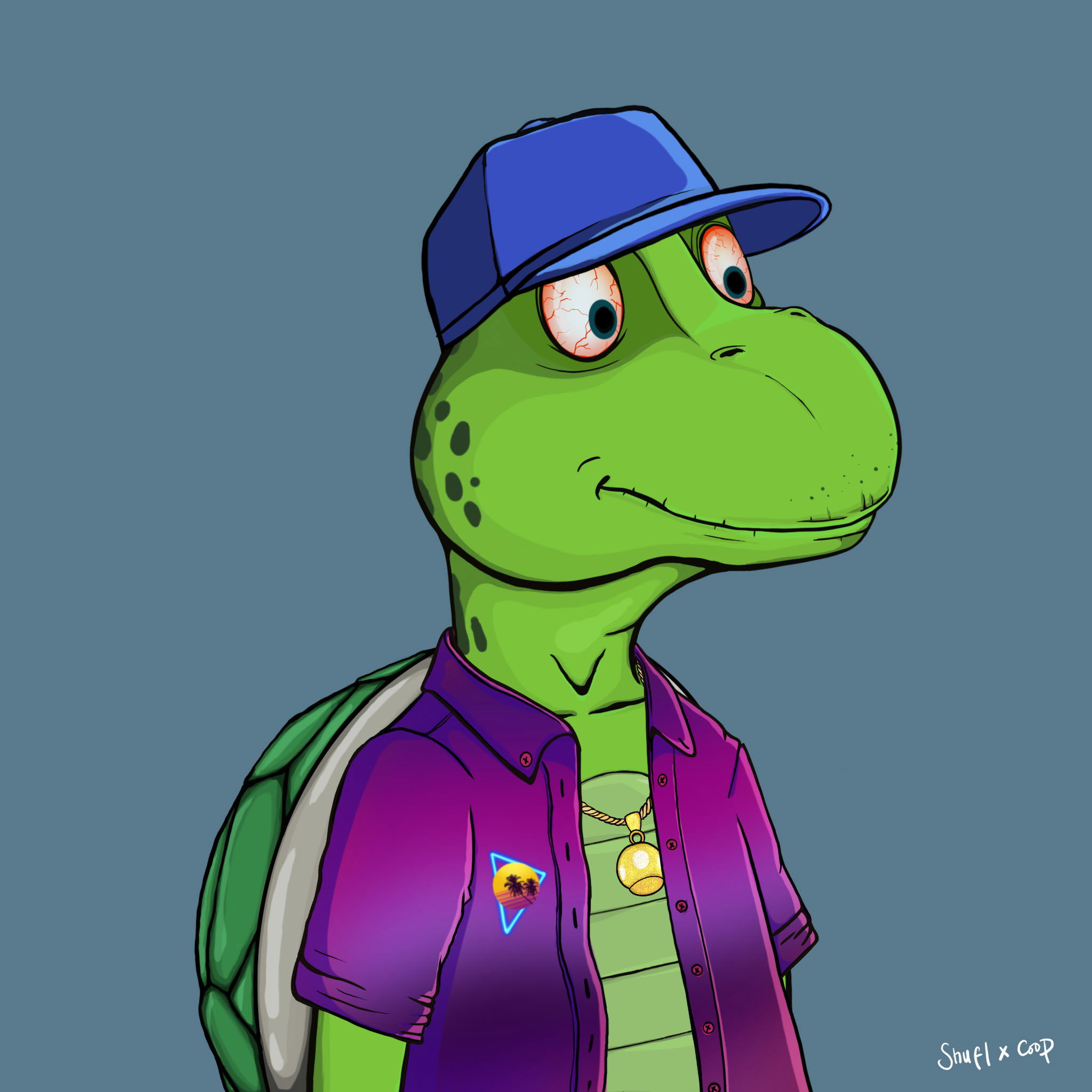 Coopa Troopa #2362 NFT on Algorand