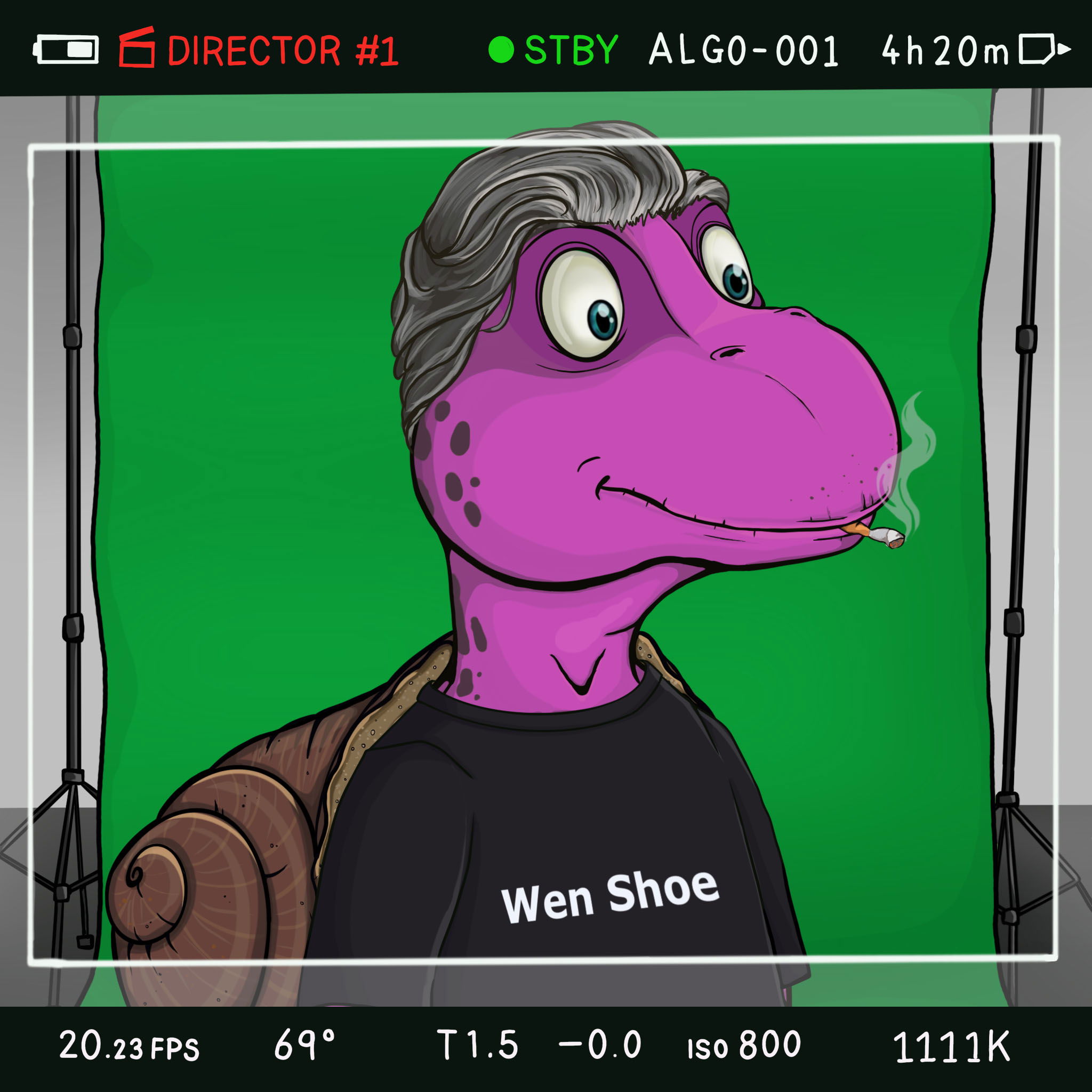 Coopa Troopa #2364 NFT on Algorand