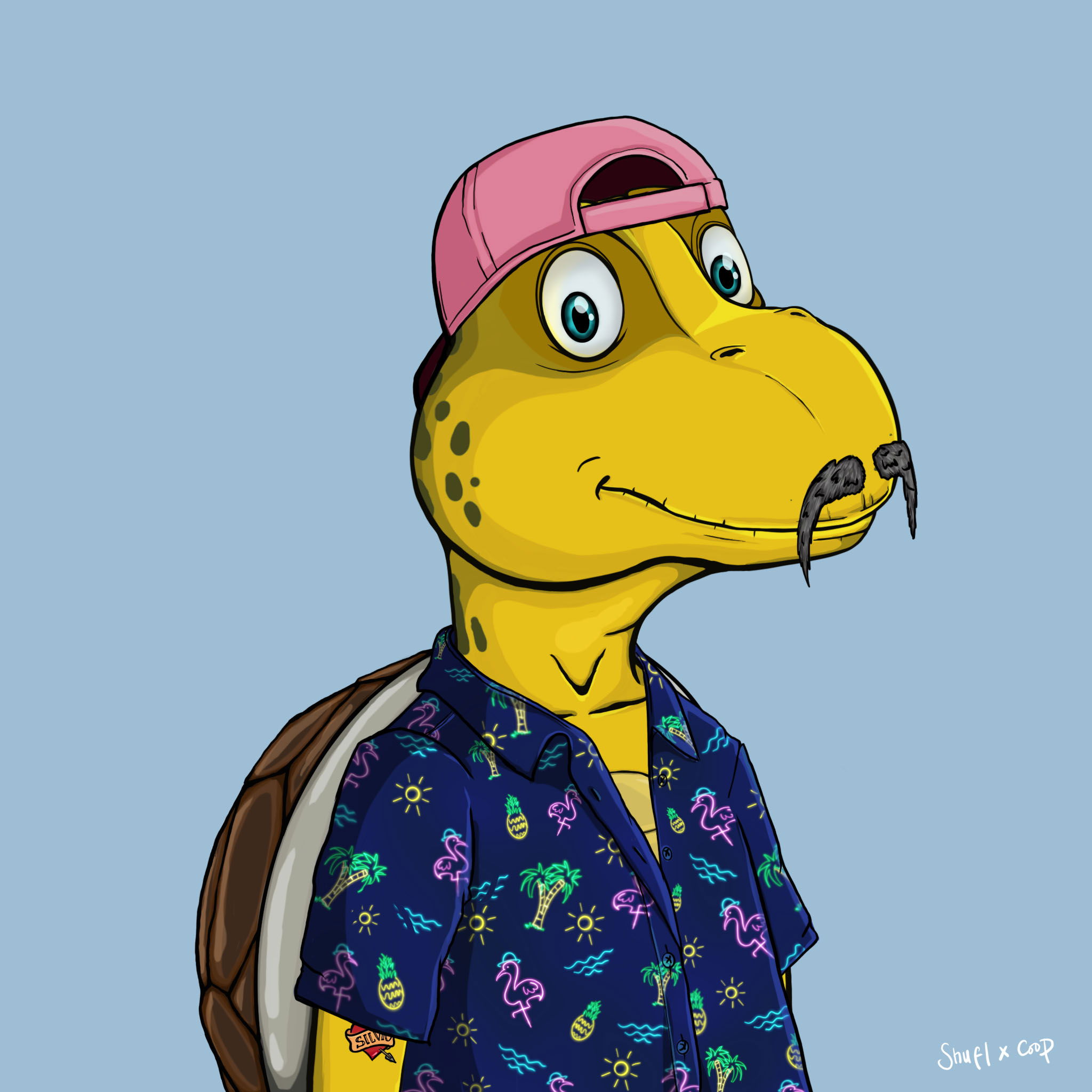 Coopa Troopa #2373 NFT on Algorand