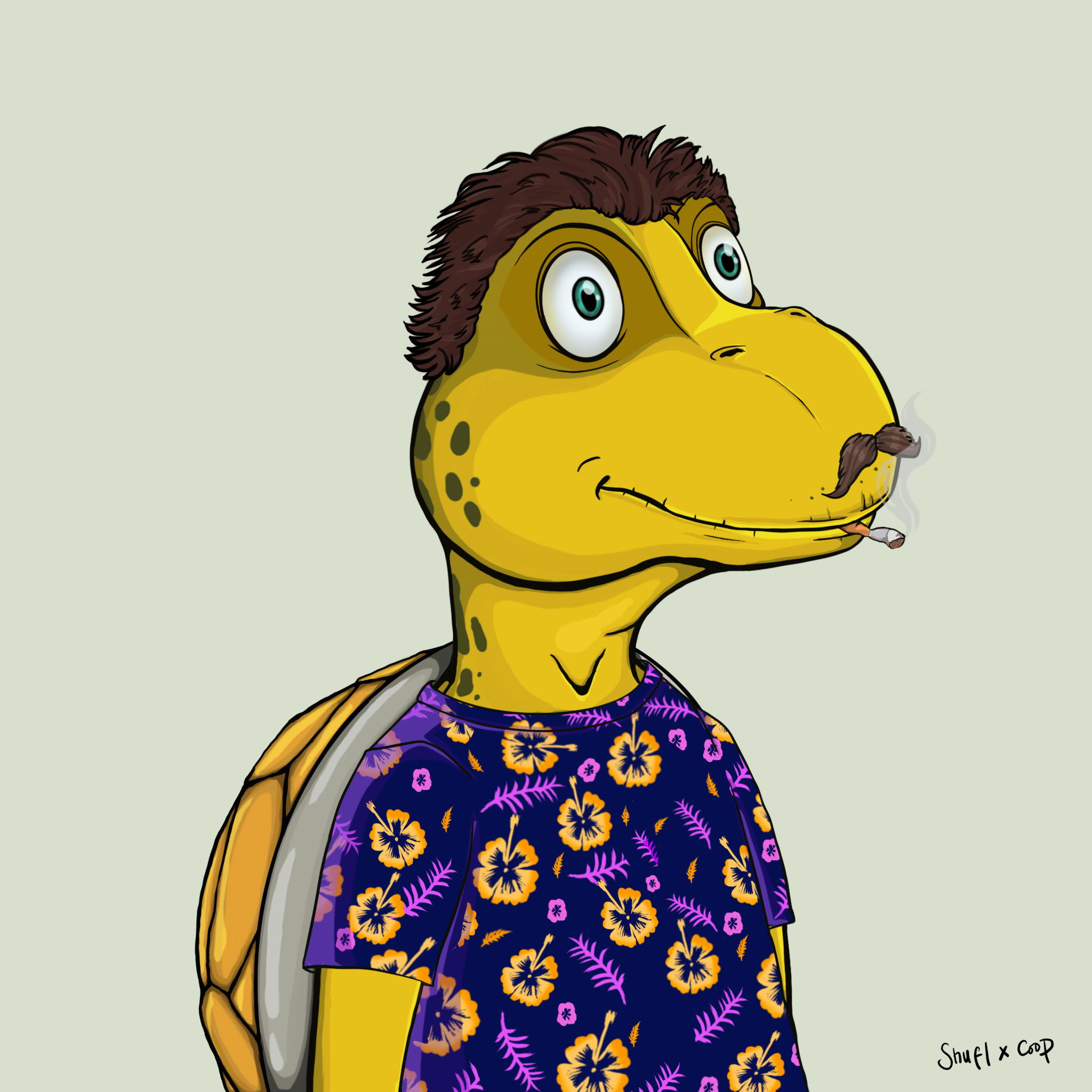 Coopa Troopa #2375 NFT on Algorand