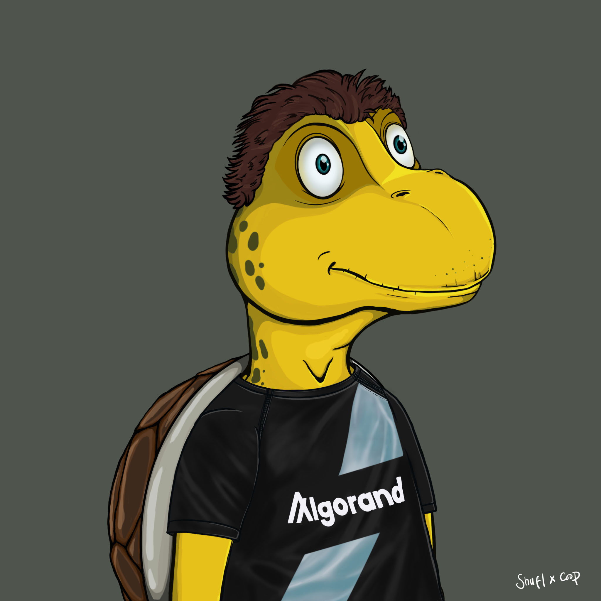 Coopa Troopa #2376 NFT on Algorand