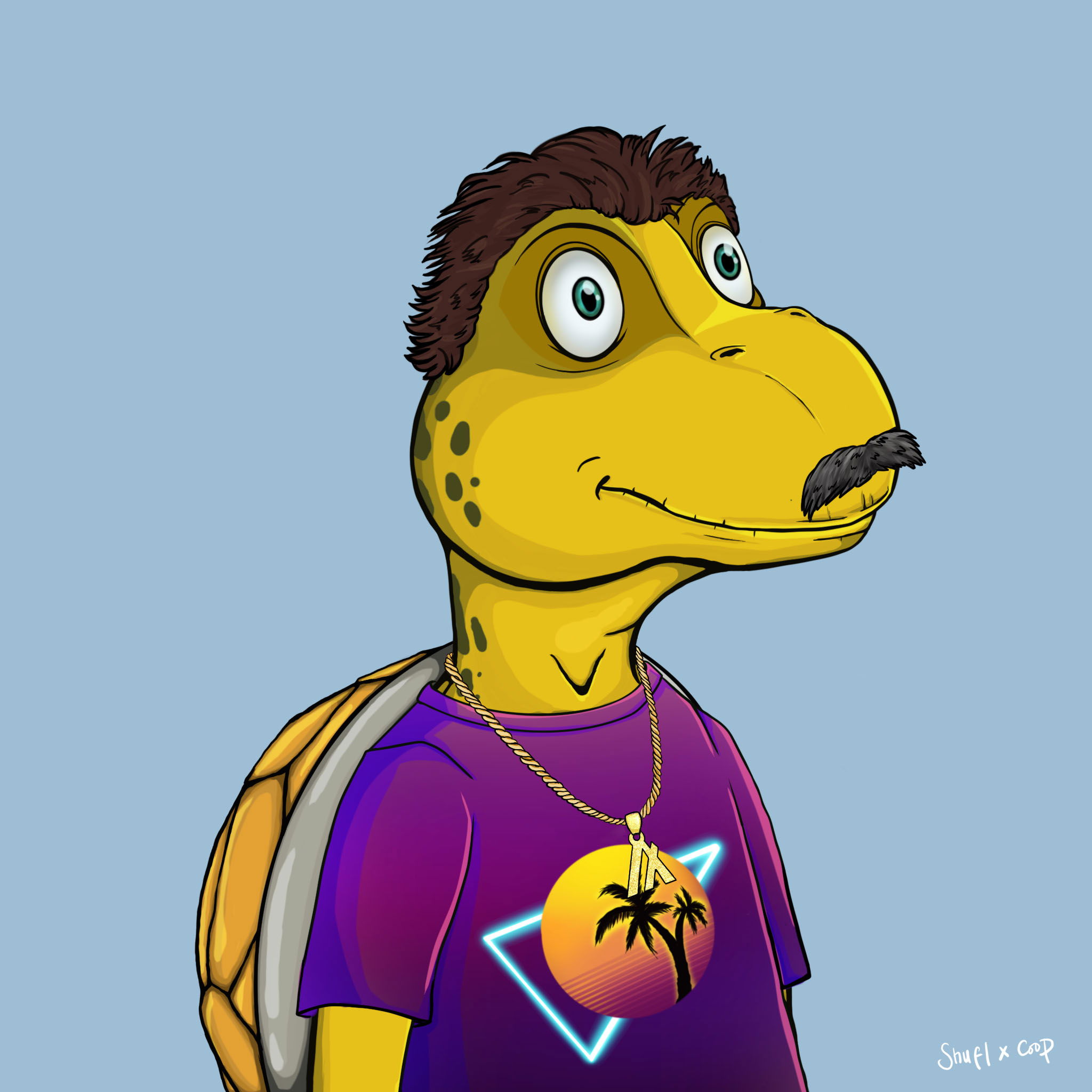 Coopa Troopa #2377 NFT on Algorand