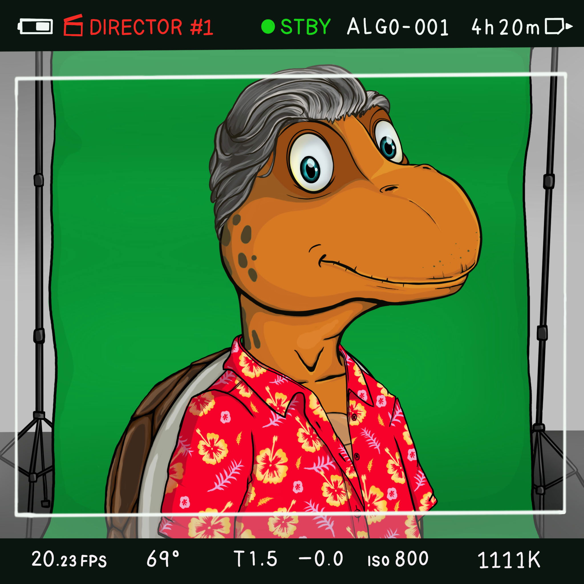 Coopa Troopa #2383 NFT on Algorand