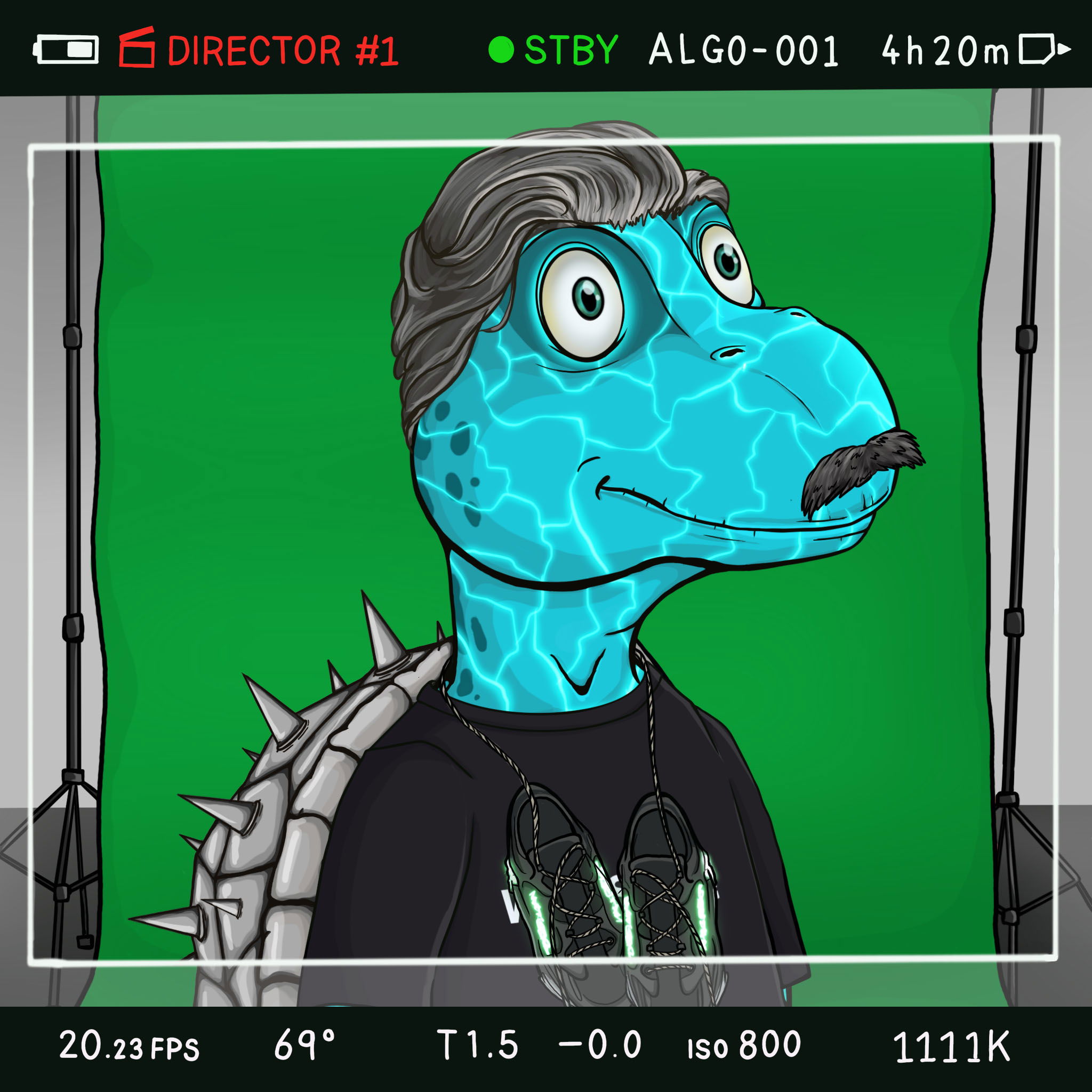 Coopa Troopa #2386 NFT on Algorand