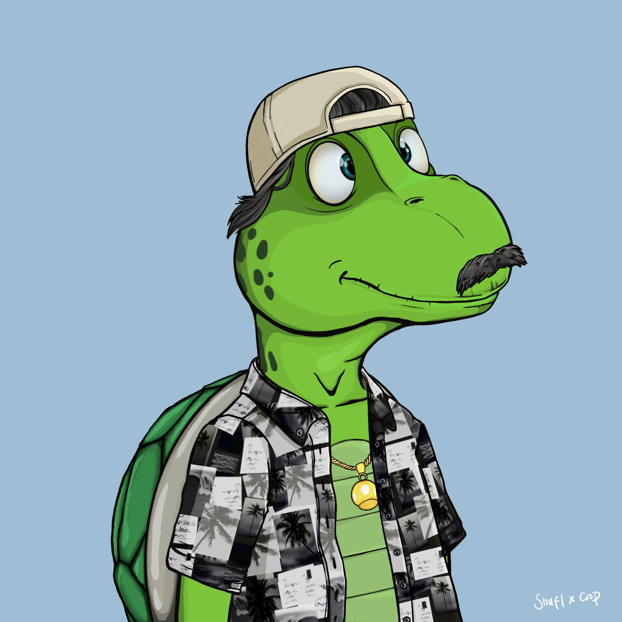 Coopa Troopa #2388 NFT on Algorand