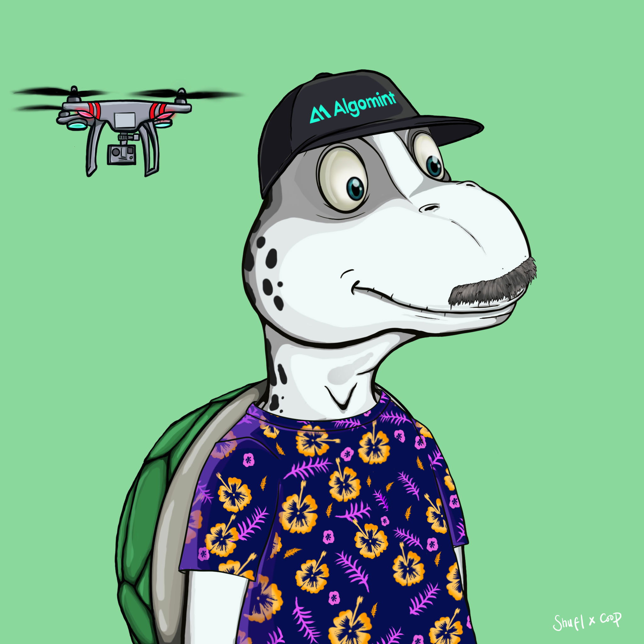 Coopa Troopa #2390 NFT on Algorand