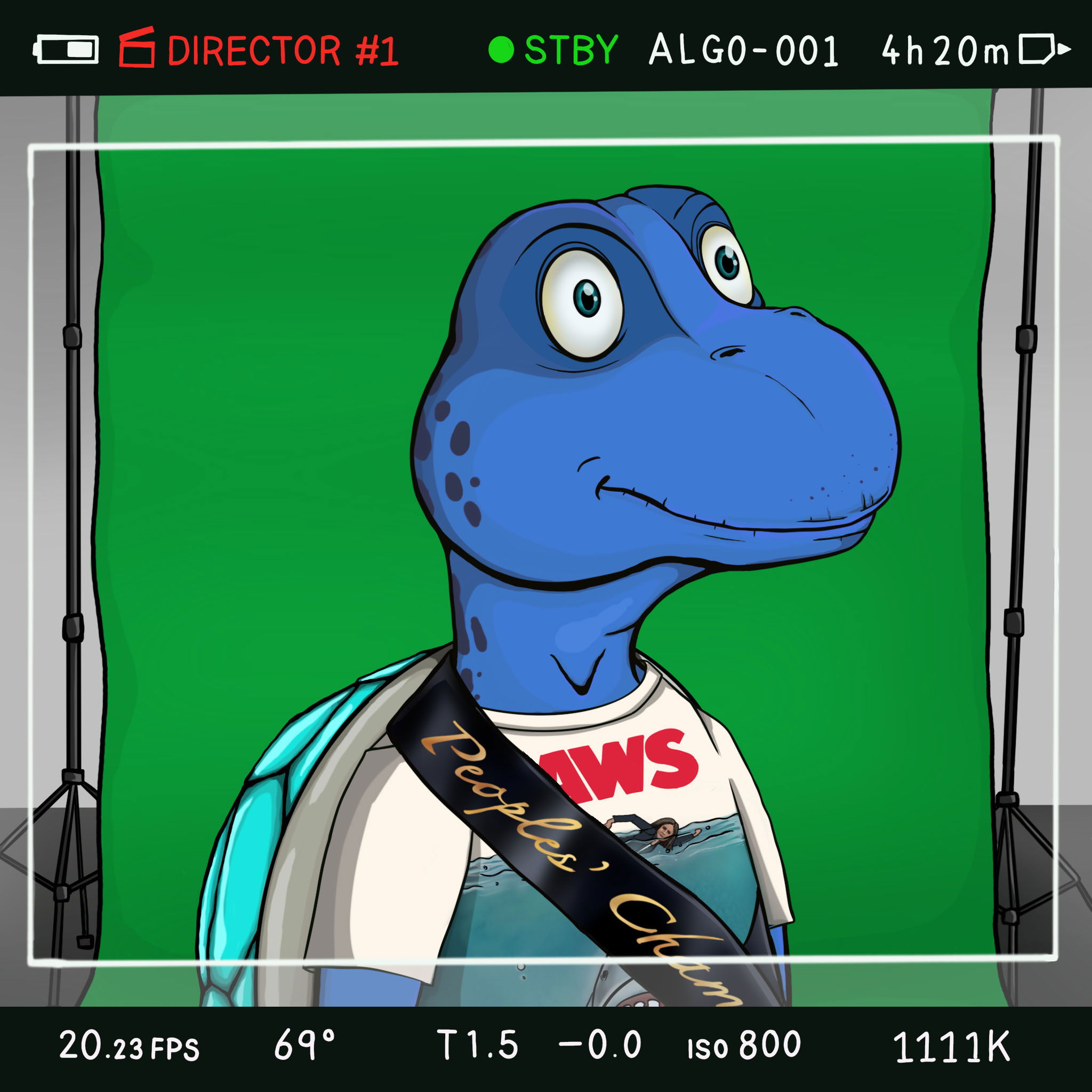 Coopa Troopa #2409 NFT on Algorand