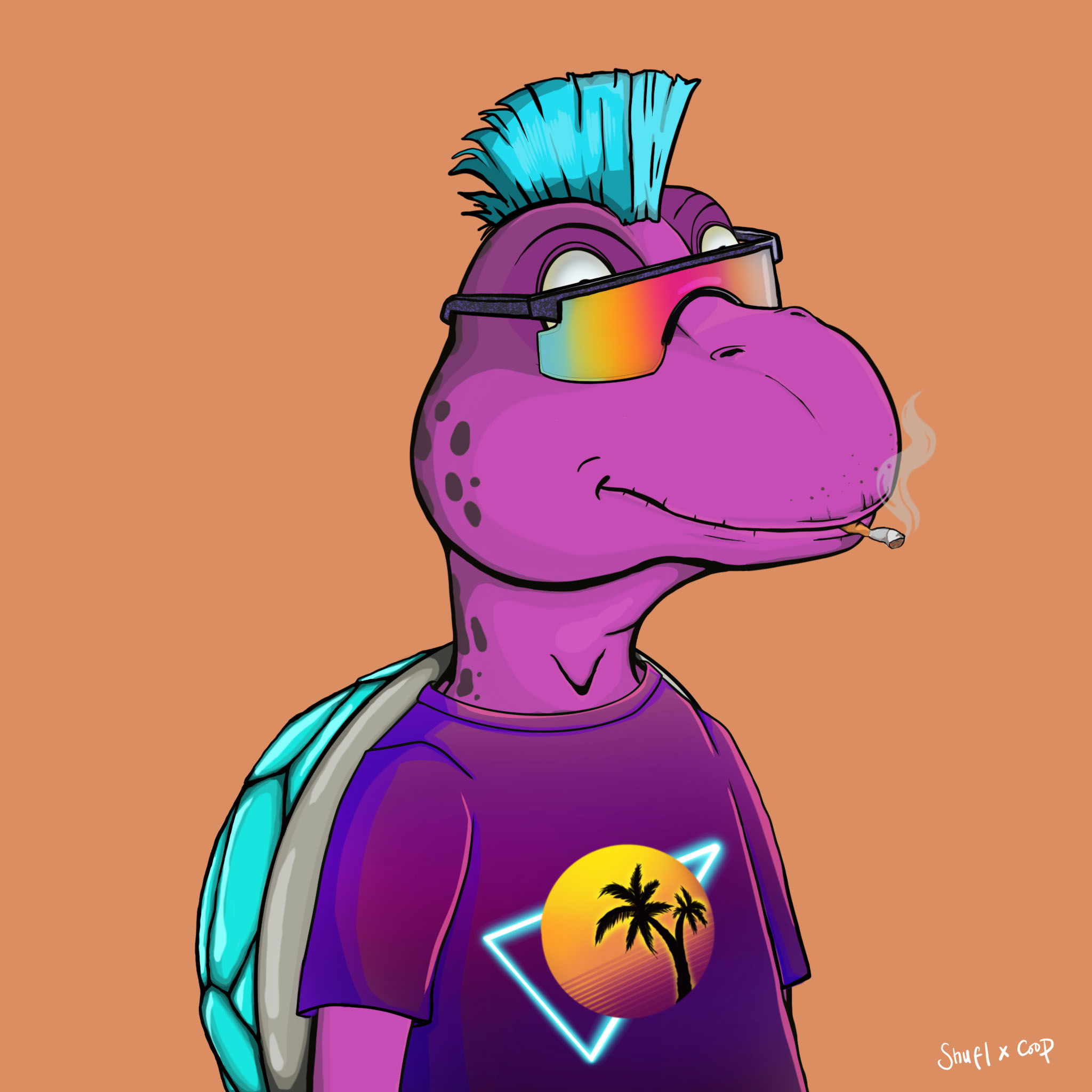 Coopa Troopa #2415 NFT on Algorand