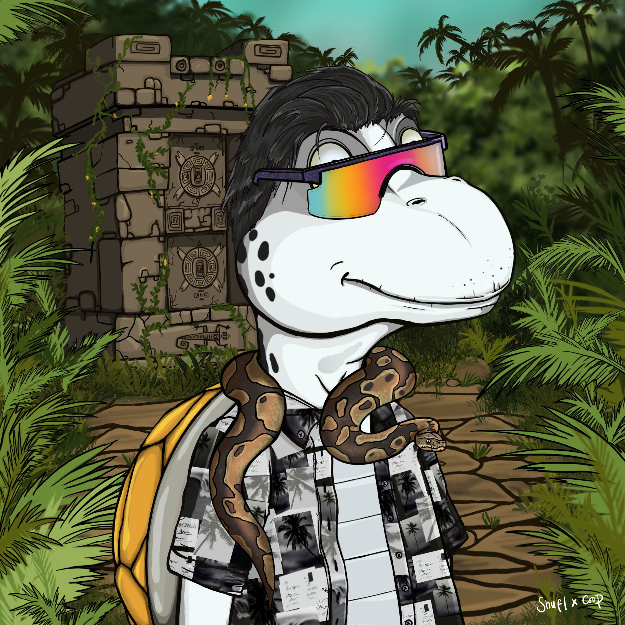 Coopa Troopa #2428 NFT on Algorand