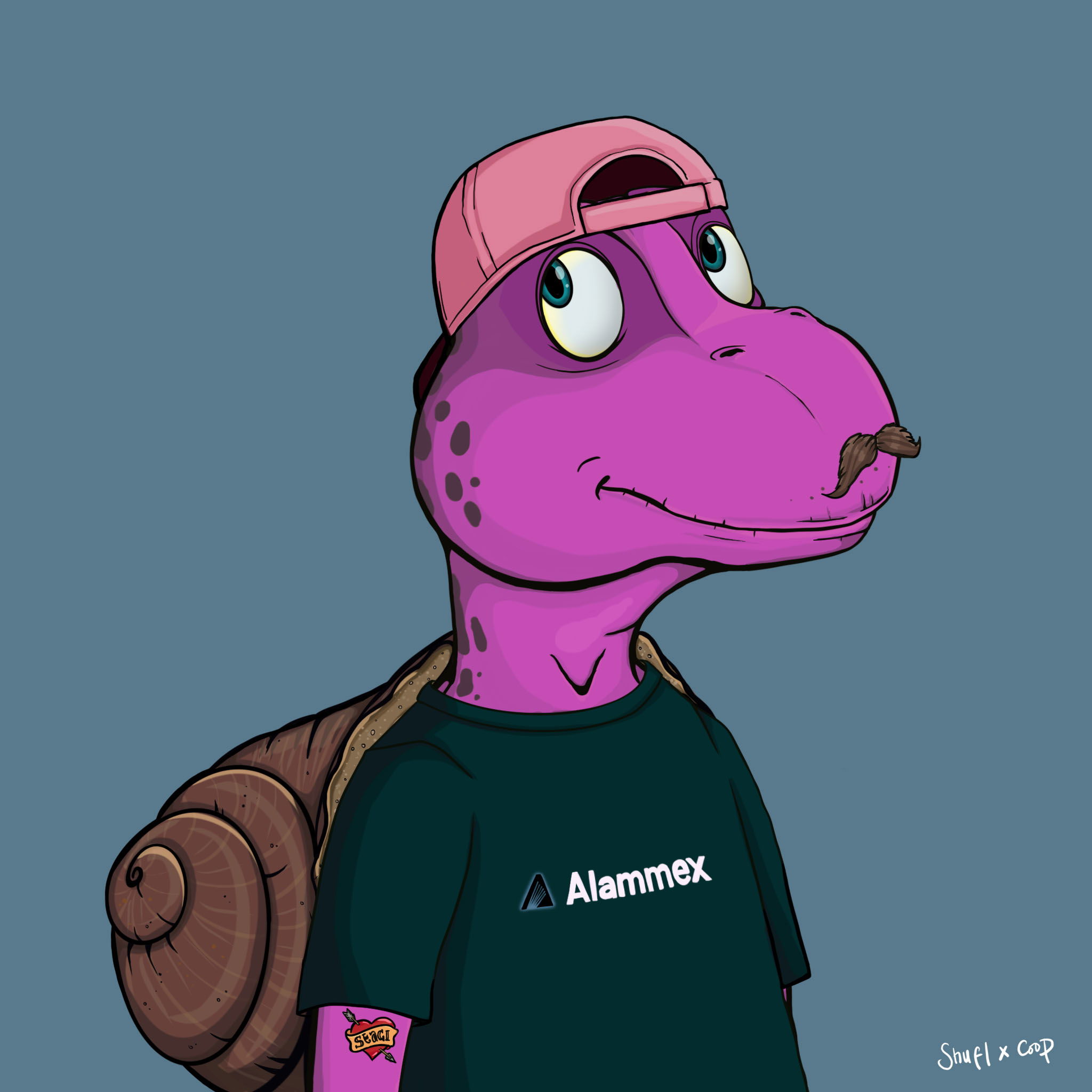 Coopa Troopa #2466 NFT on Algorand