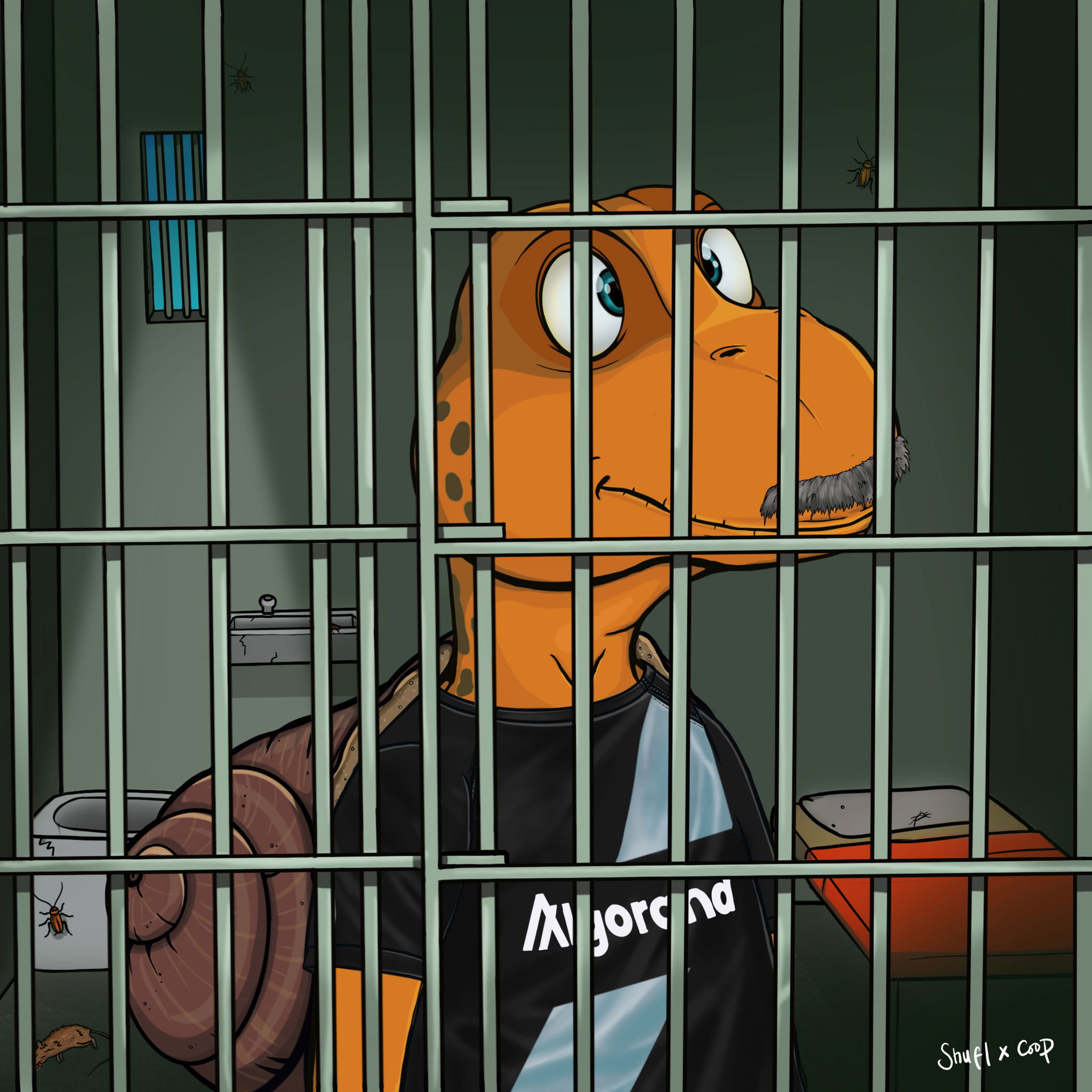 Coopa Troopa #2479 NFT on Algorand