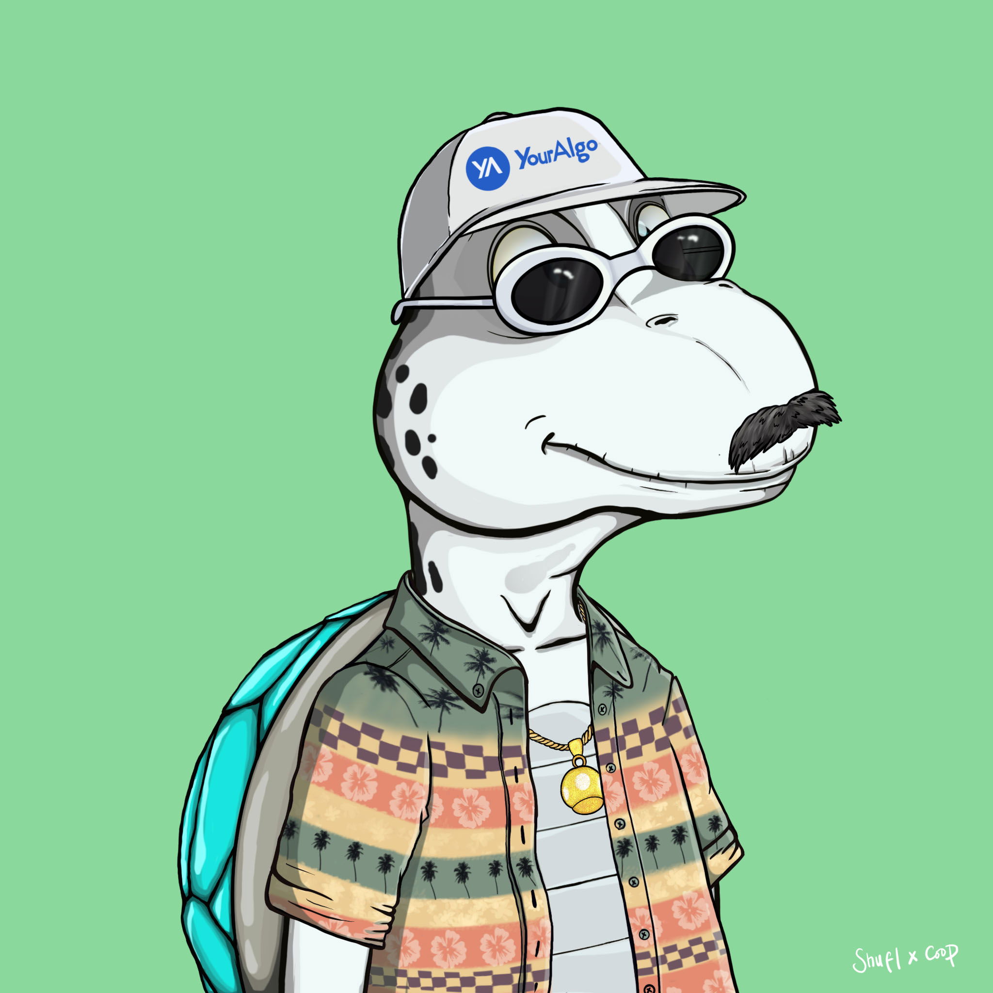 Coopa Troopa #2481 NFT on Algorand