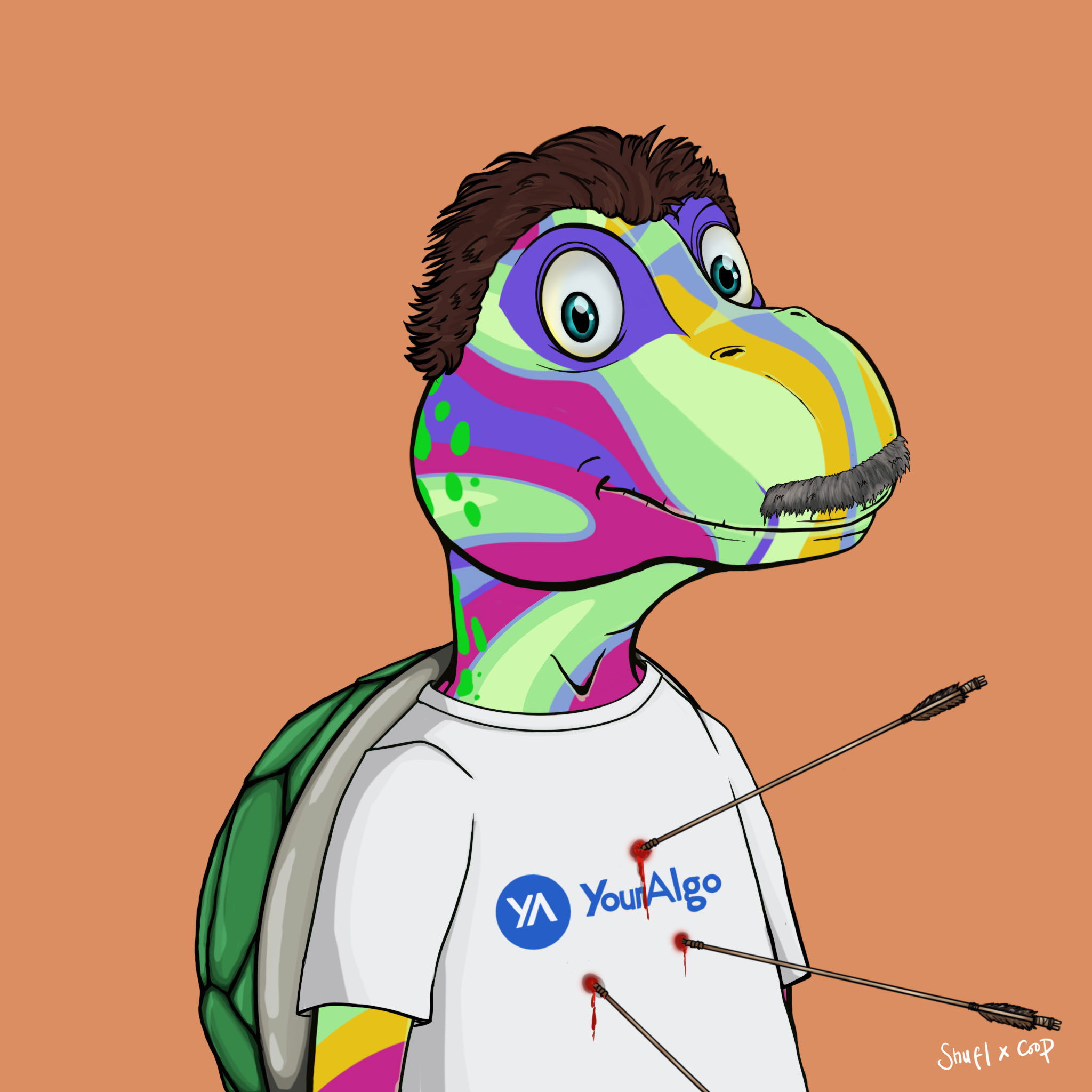 Coopa Troopa #2482 NFT on Algorand