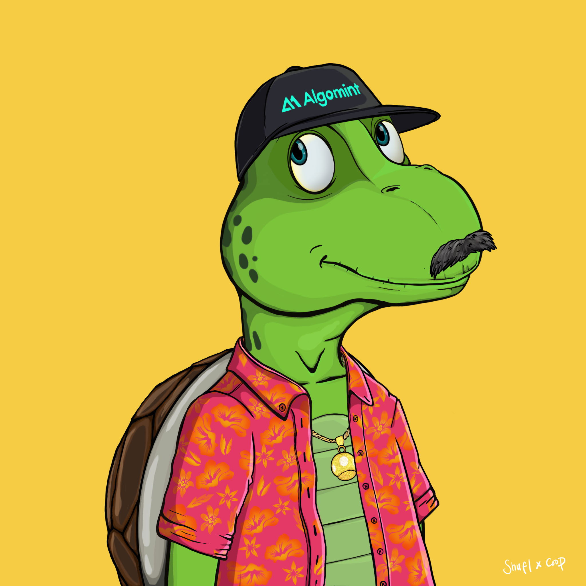 Coopa Troopa #2495 NFT on Algorand