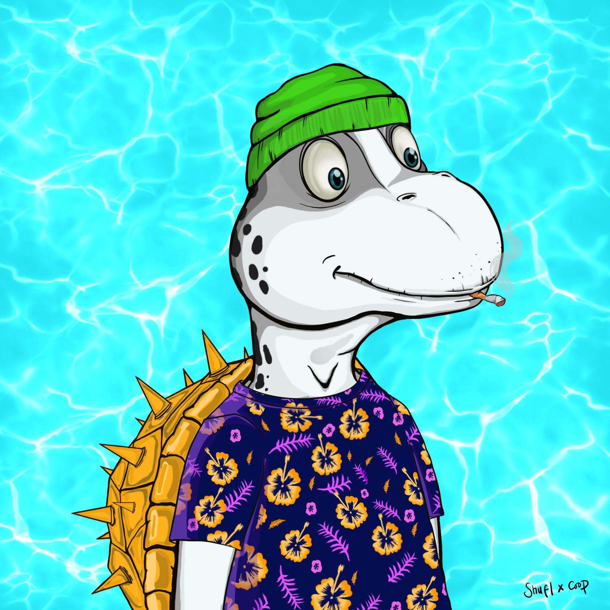 Coopa Troopa #2496 NFT on Algorand