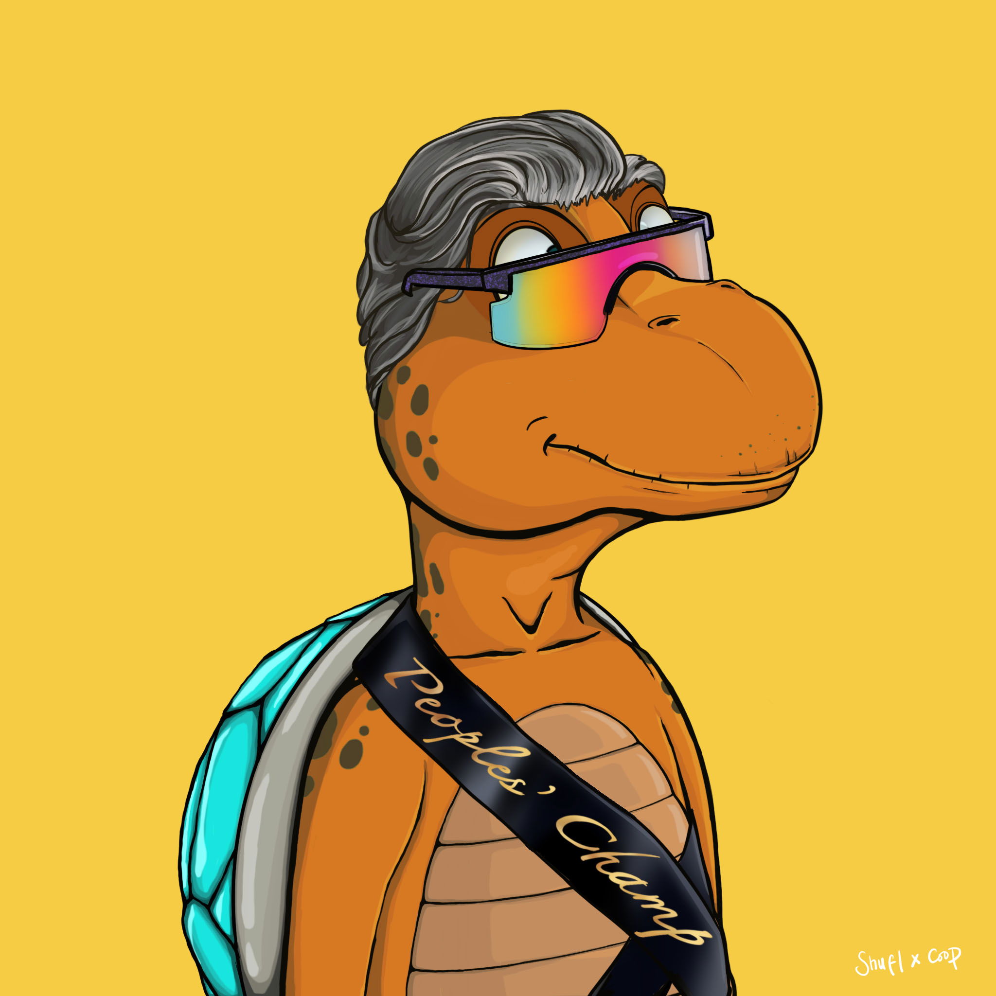 Coopa Troopa #2498 NFT on Algorand