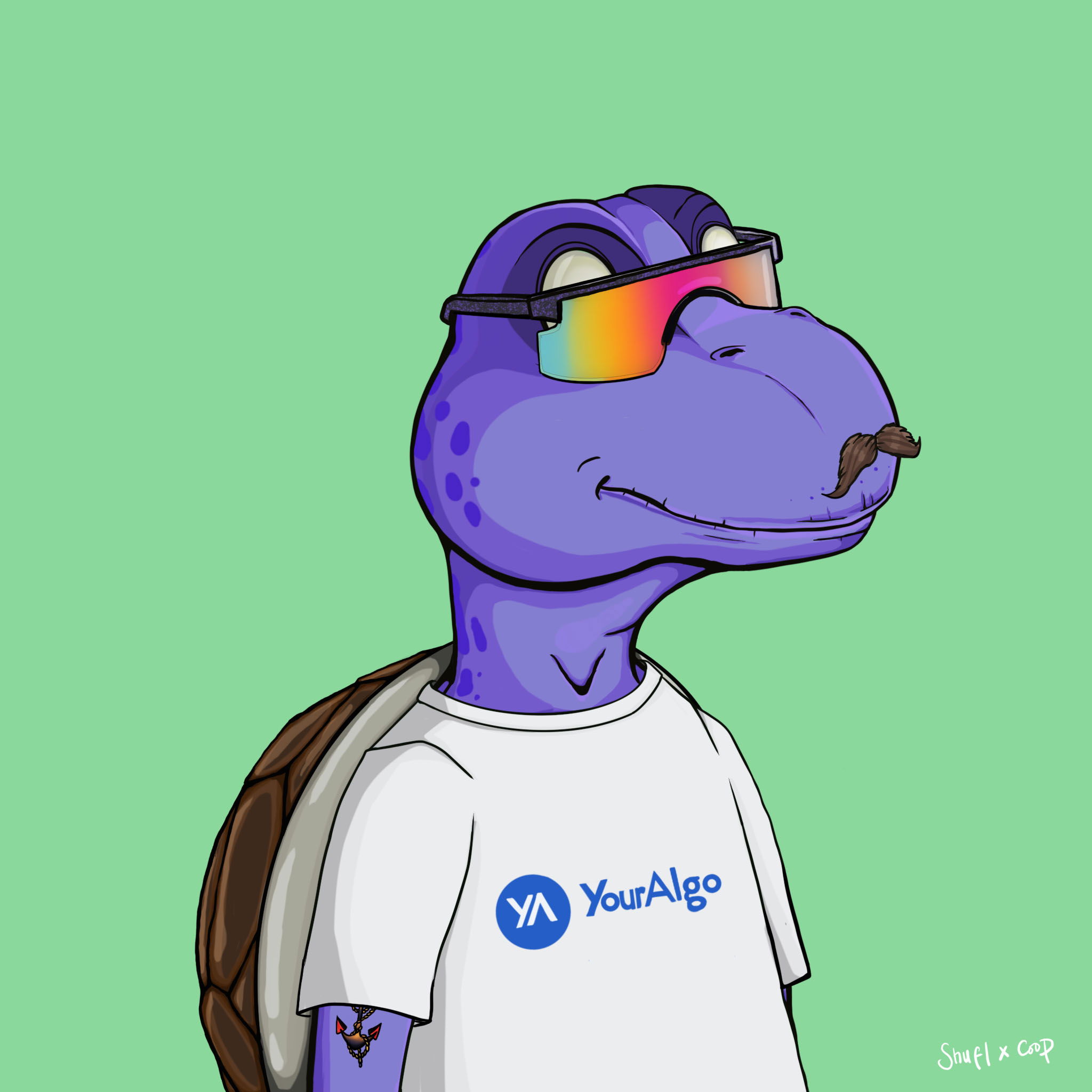 Coopa Troopa #2500 NFT on Algorand