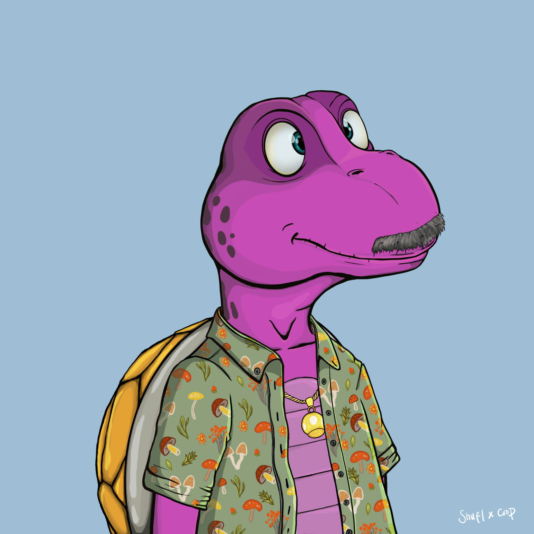 Coopa Troopa #2501 NFT on Algorand