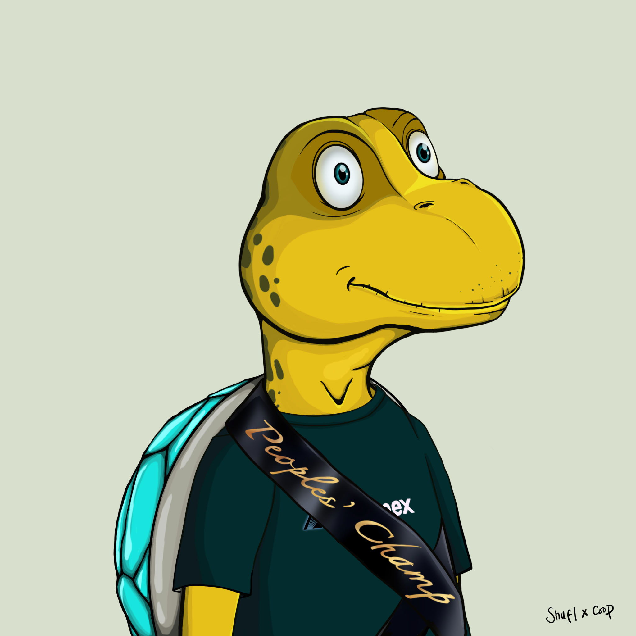 Coopa Troopa #2502 NFT on Algorand