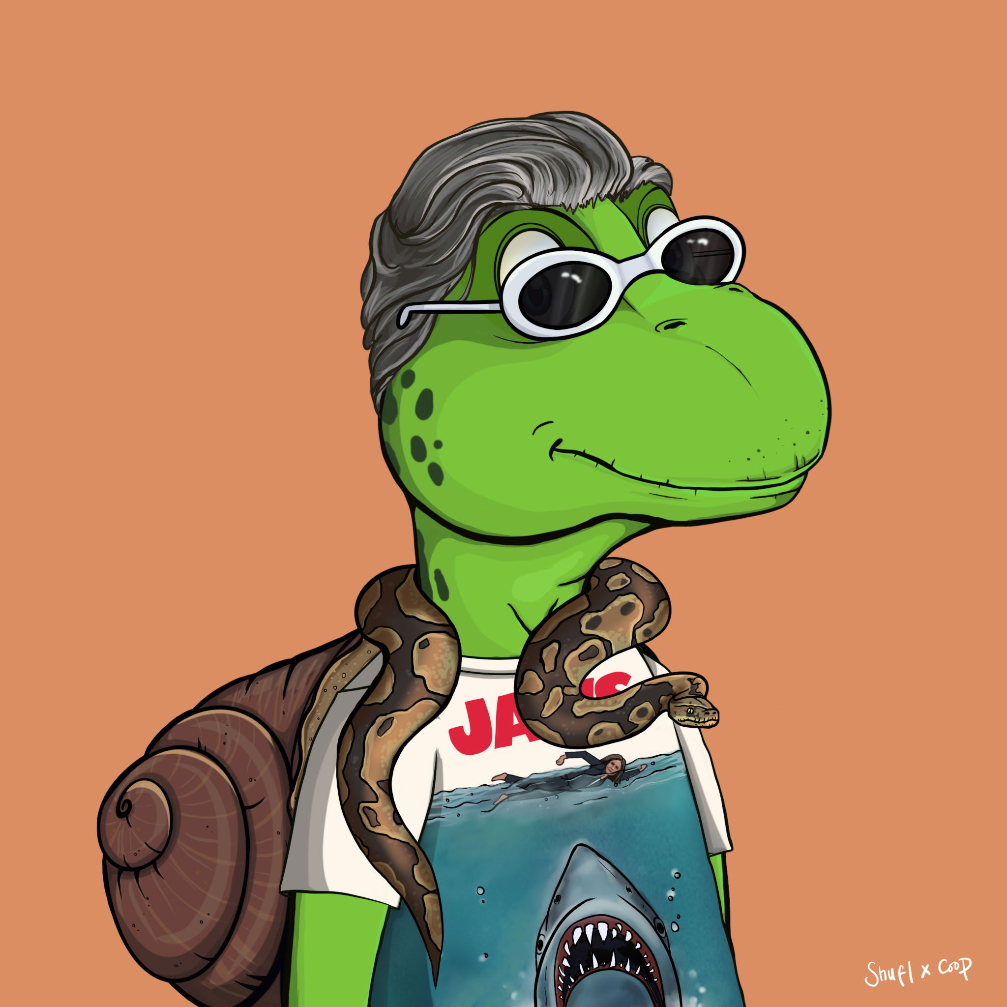 Coopa Troopa #2511 NFT on Algorand