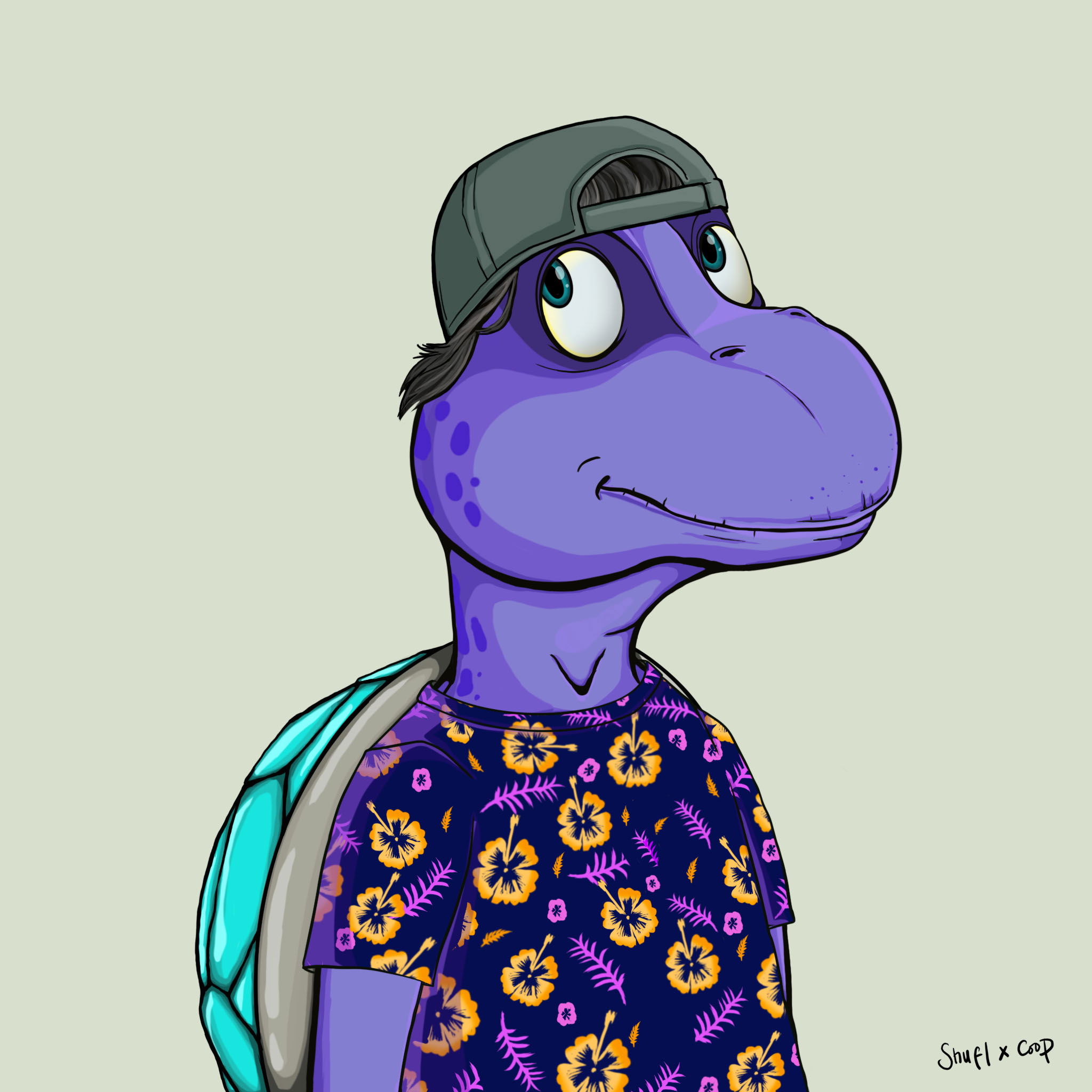 Coopa Troopa #2519 NFT on Algorand