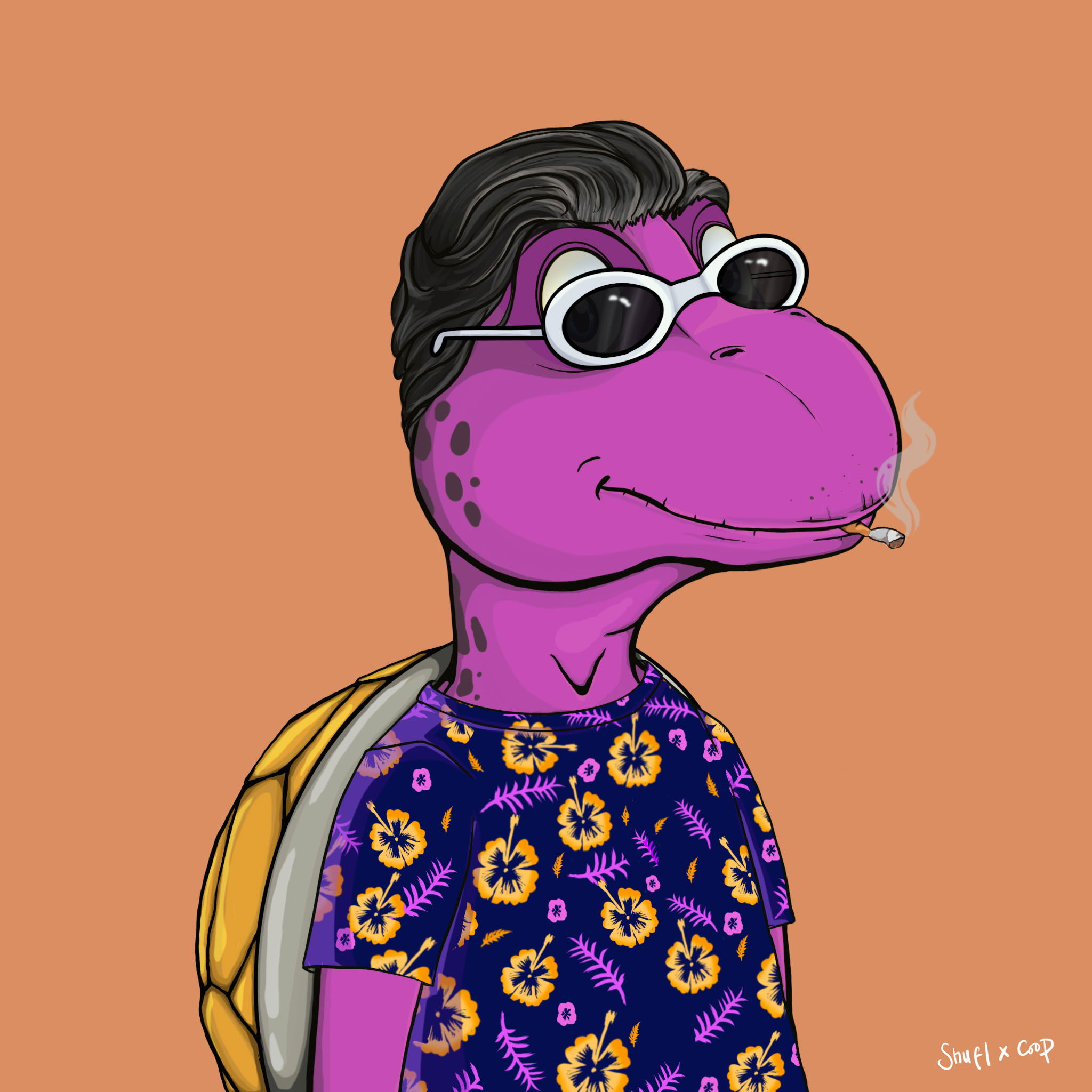 Coopa Troopa #2529 NFT on Algorand