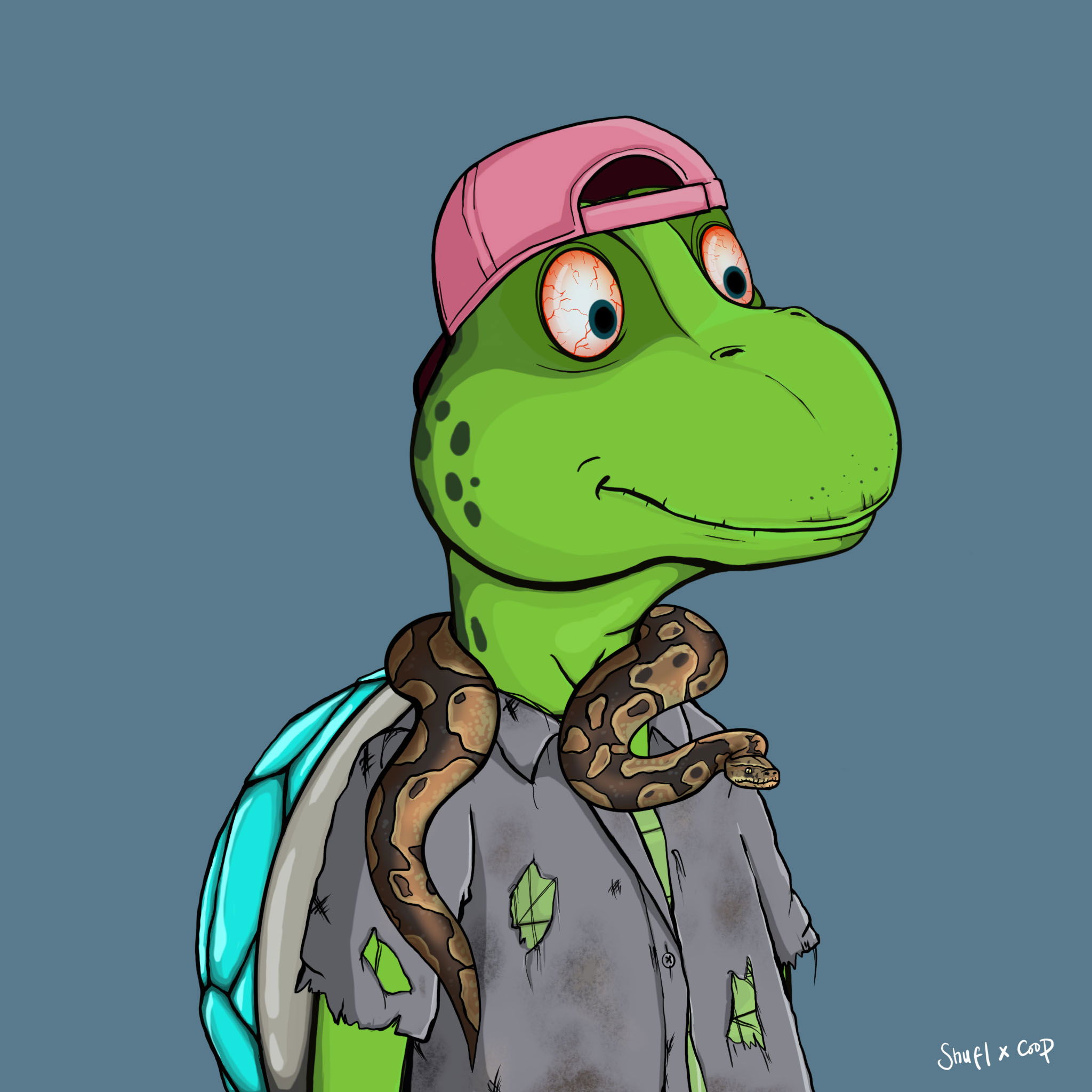 Coopa Troopa #2531 NFT on Algorand