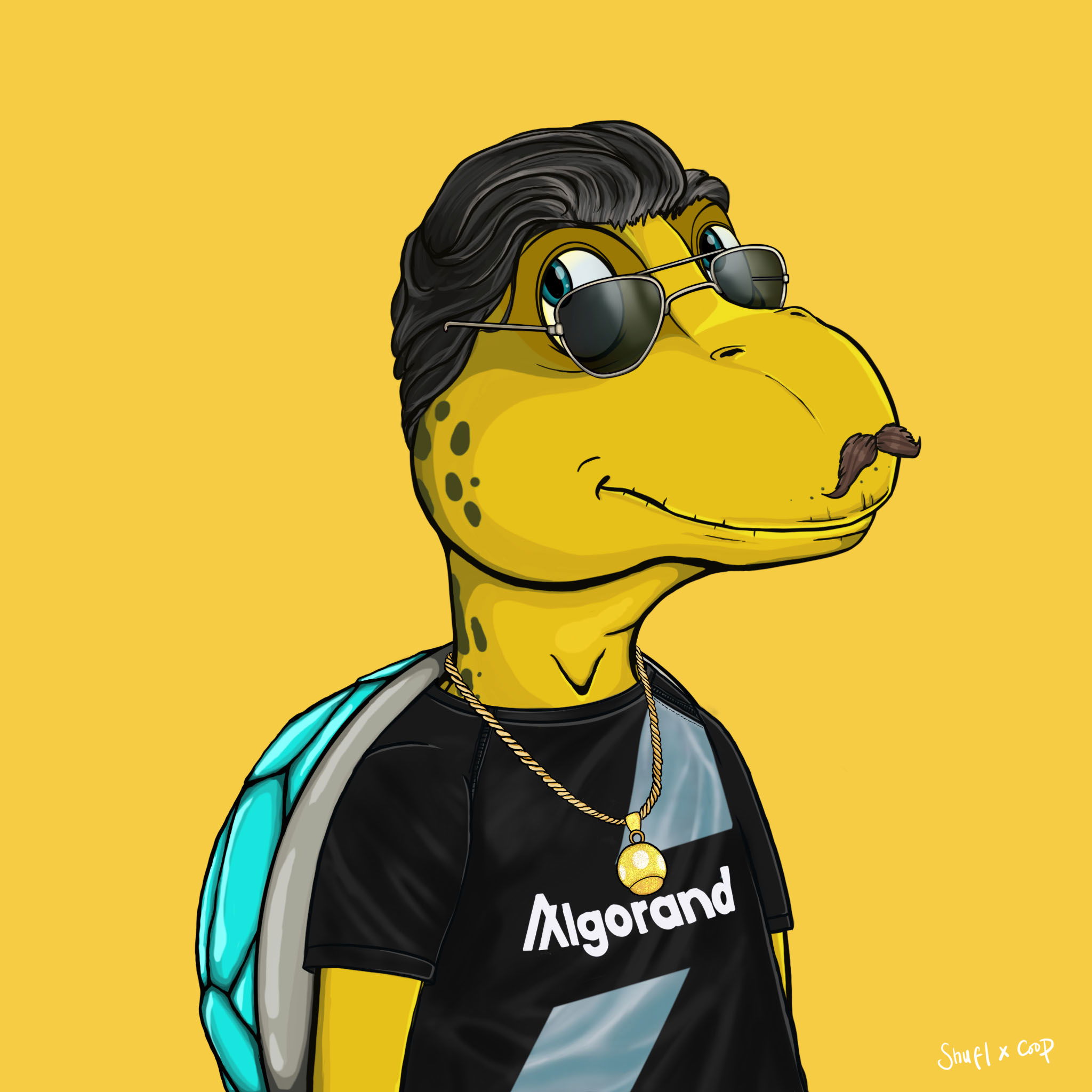 Coopa Troopa #2541 NFT on Algorand