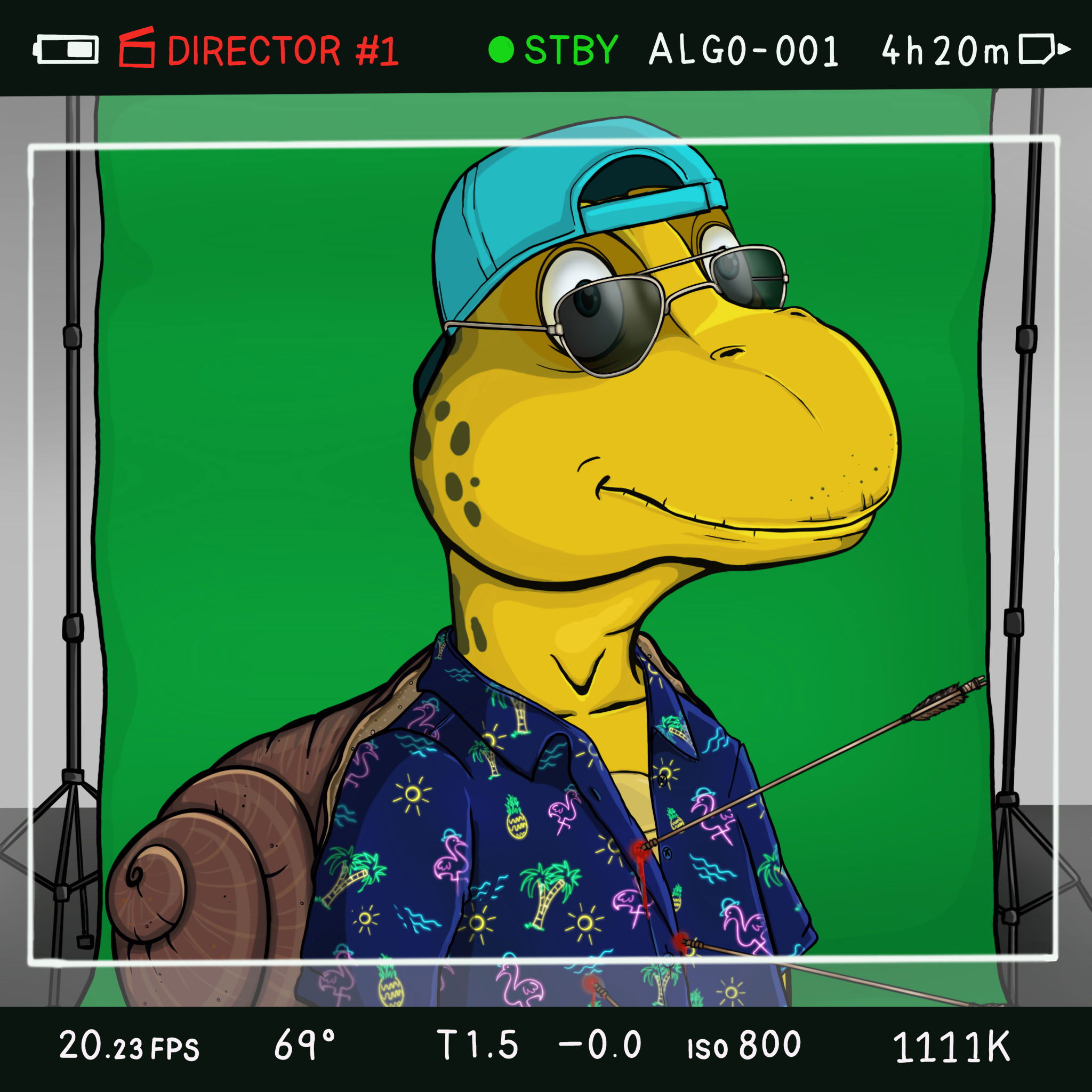 Coopa Troopa #2544 NFT on Algorand