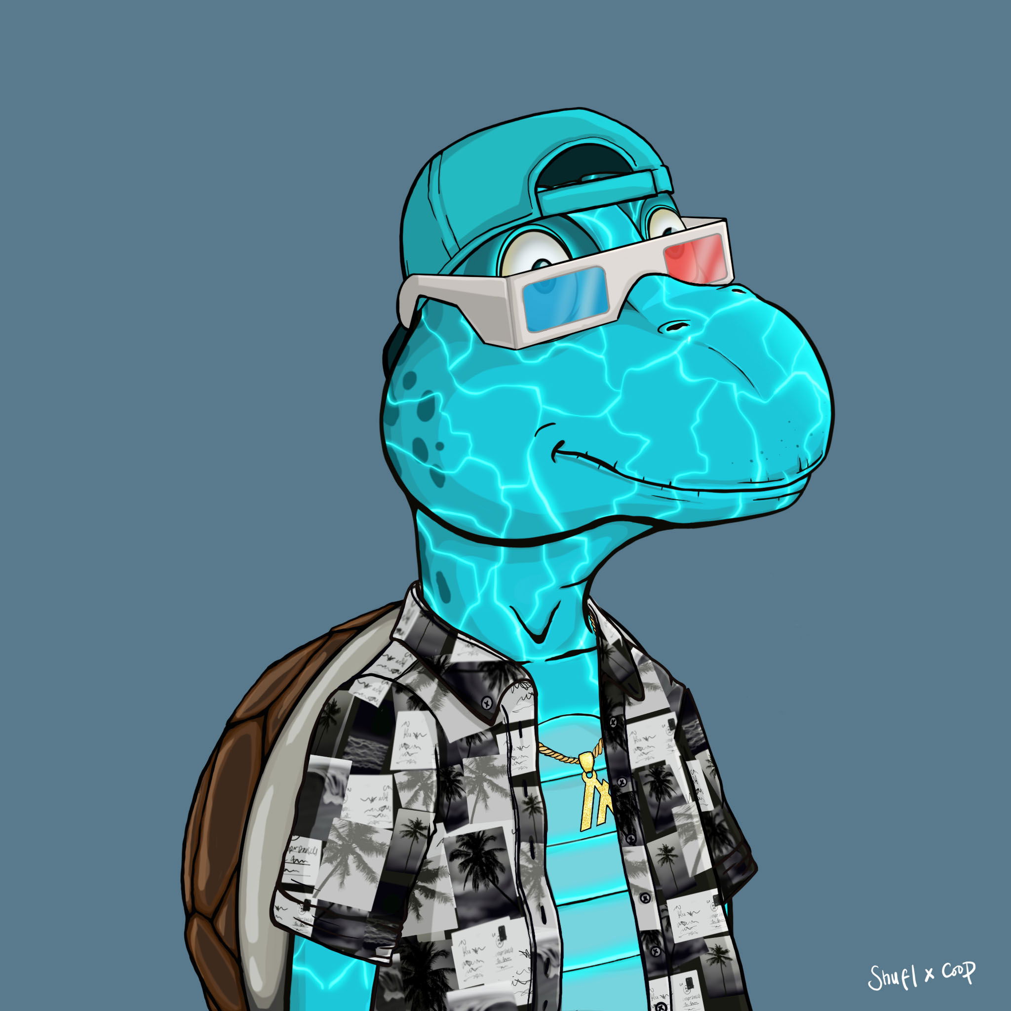 Coopa Troopa #2553 NFT on Algorand