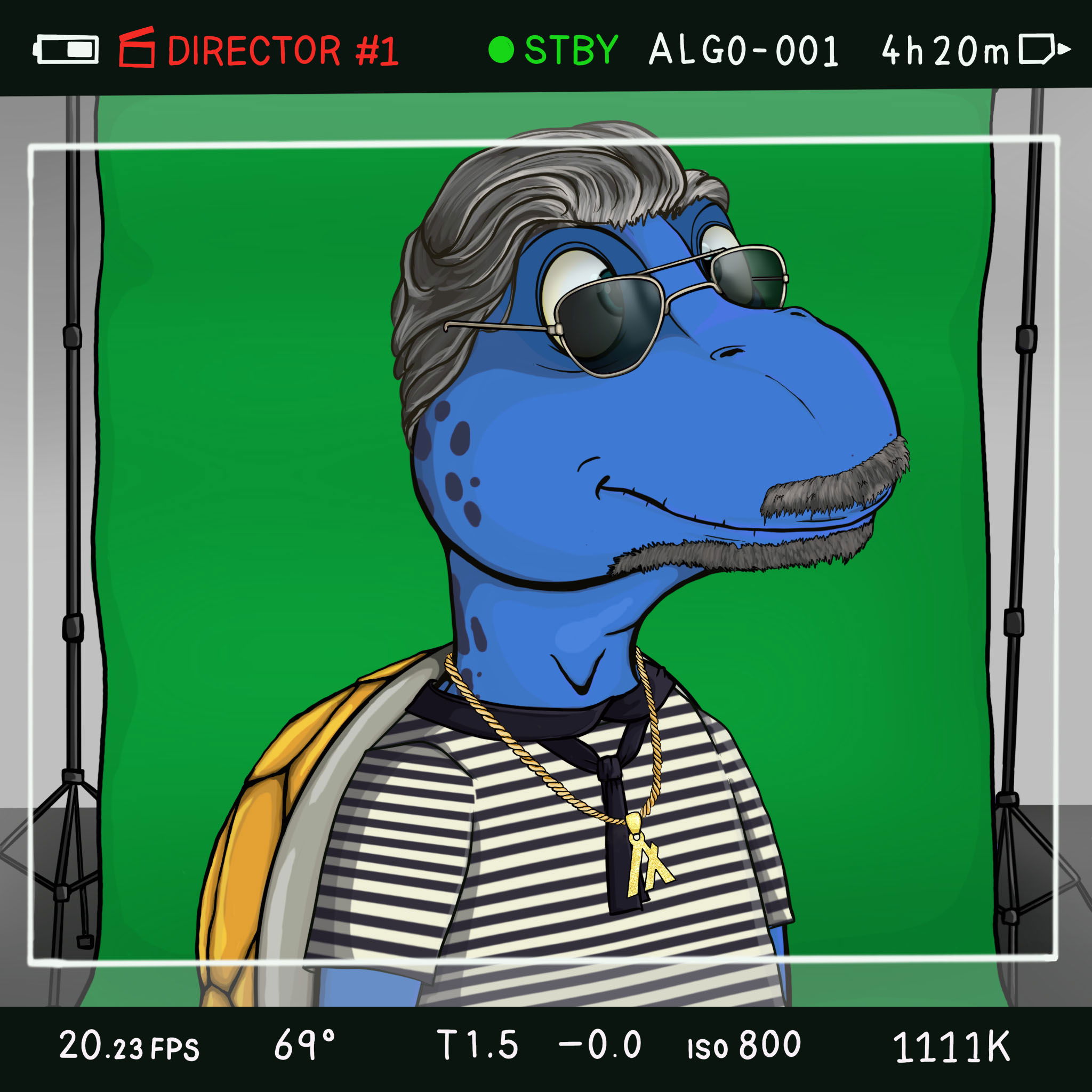 Coopa Troopa #2554 NFT on Algorand