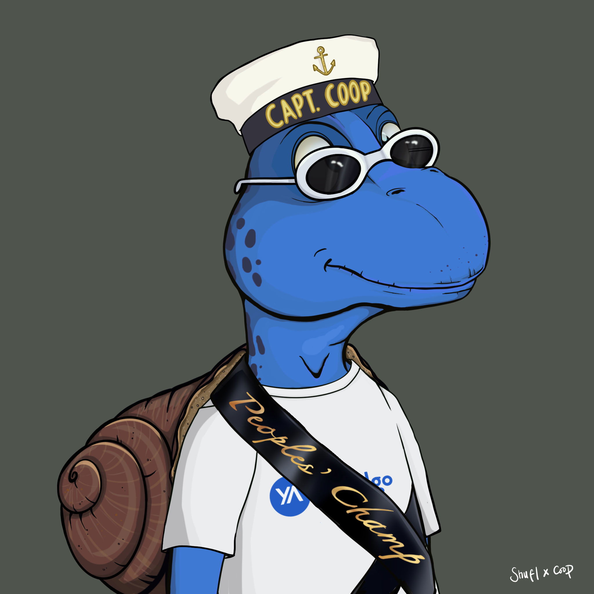 Coopa Troopa #2565 NFT on Algorand