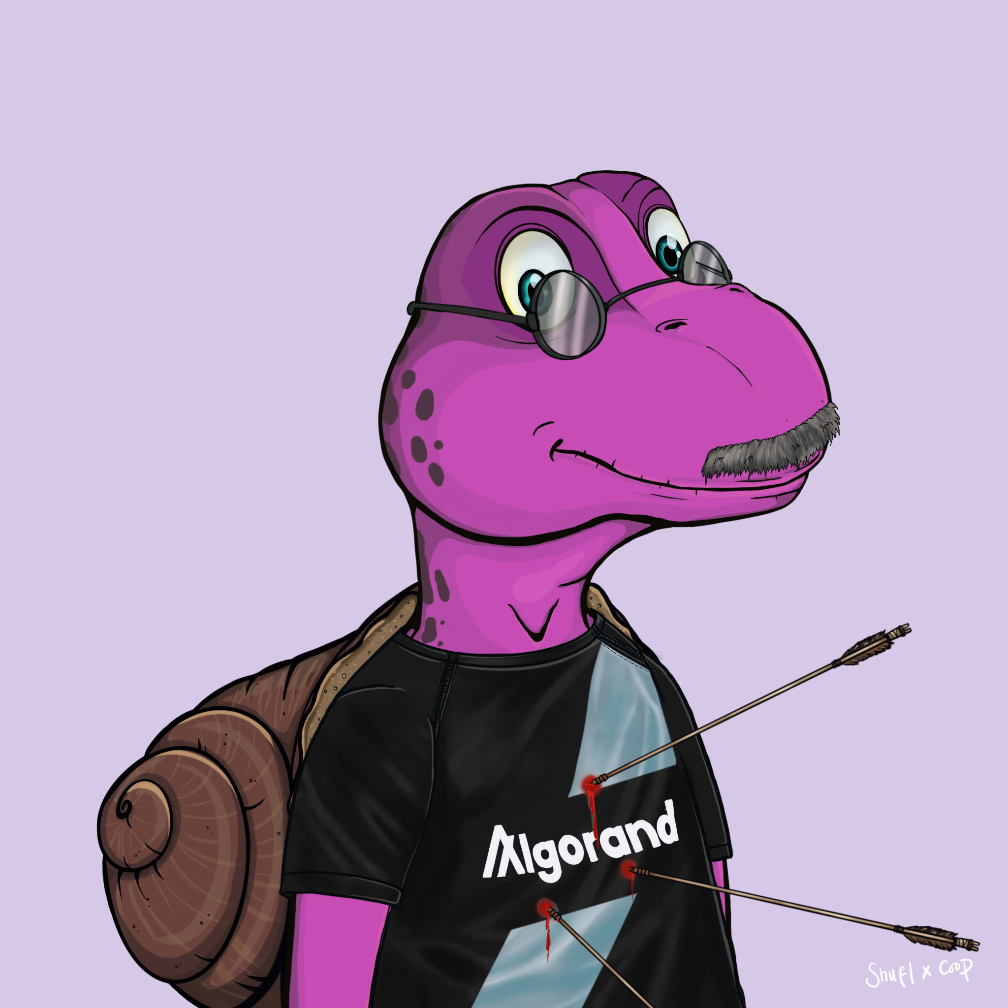 Coopa Troopa #2570 NFT on Algorand