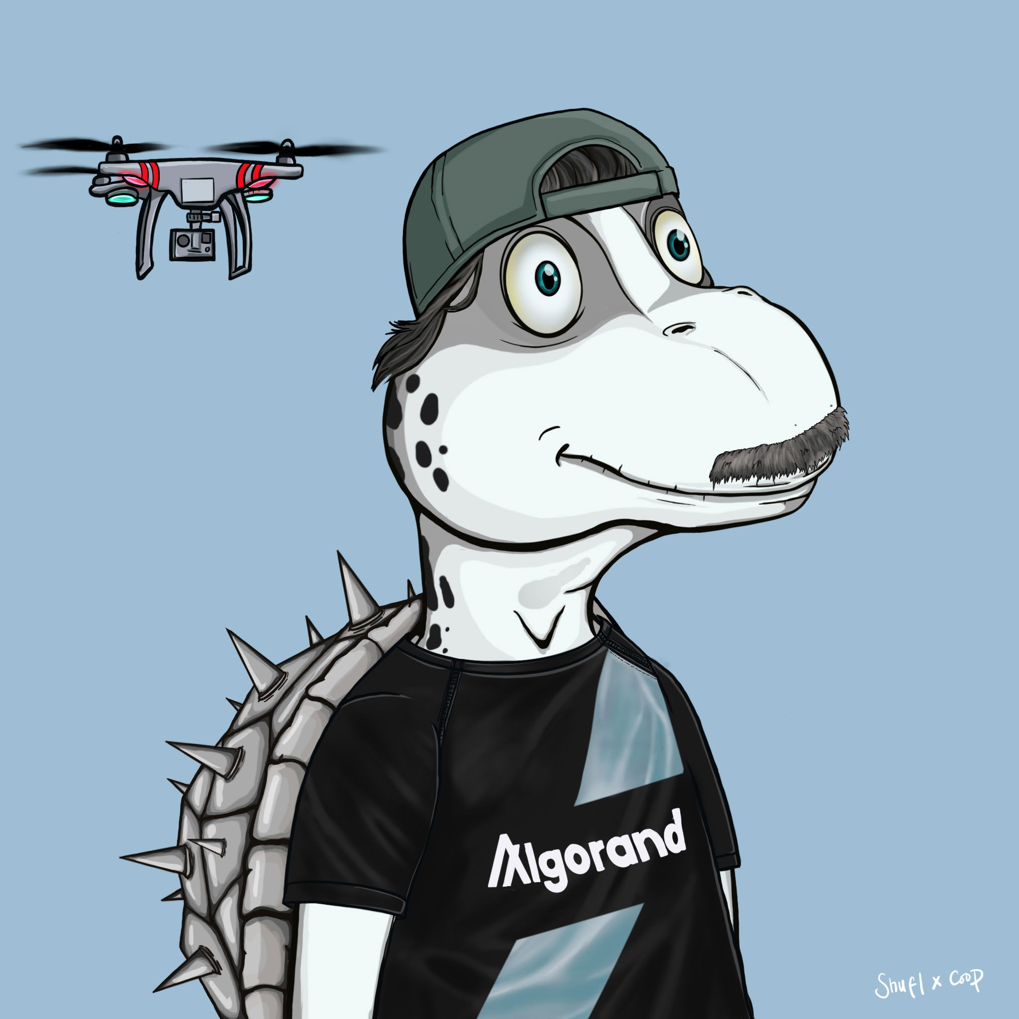 Coopa Troopa #2572 NFT on Algorand