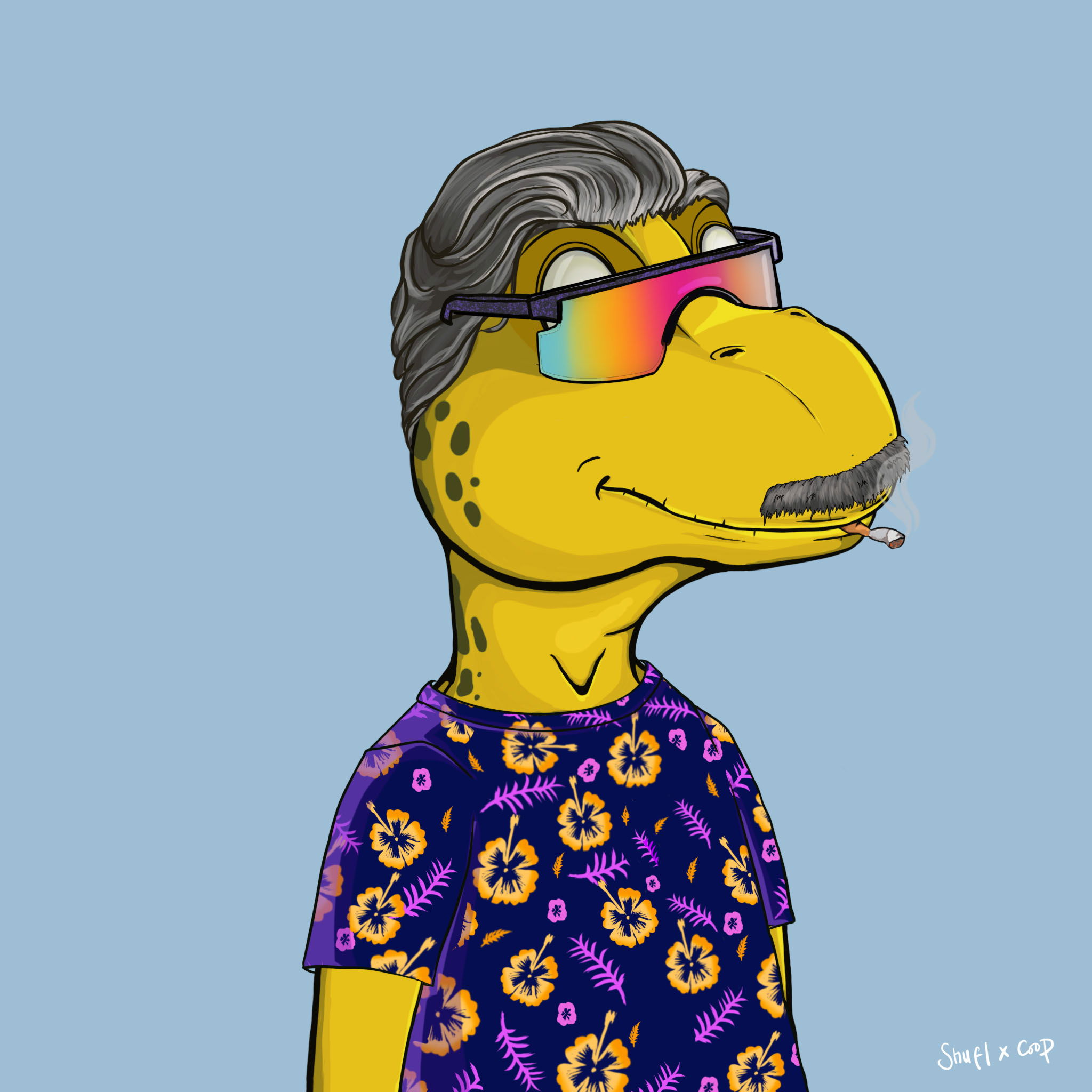 Coopa Troopa #2575 NFT on Algorand