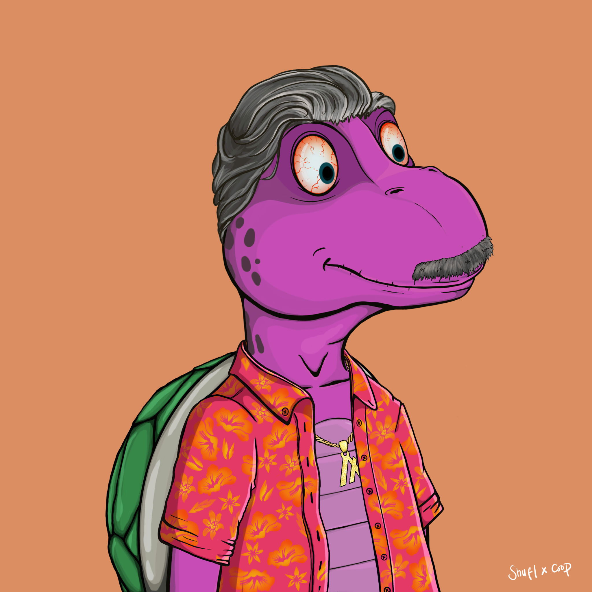 Coopa Troopa #2576 NFT on Algorand