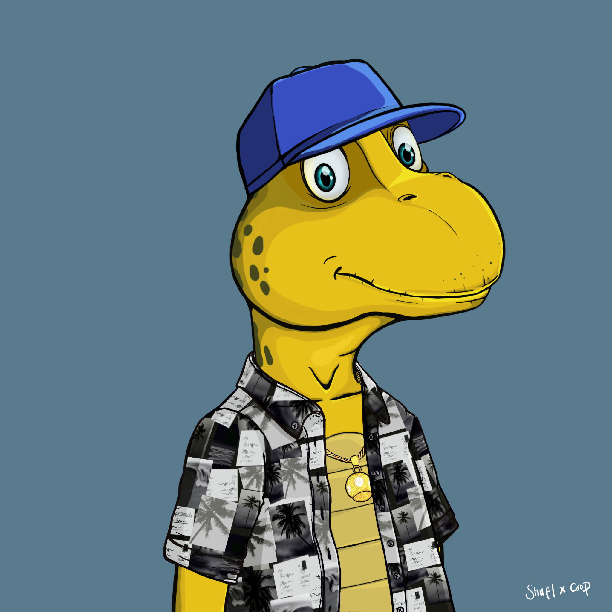Coopa Troopa #2578 NFT on Algorand