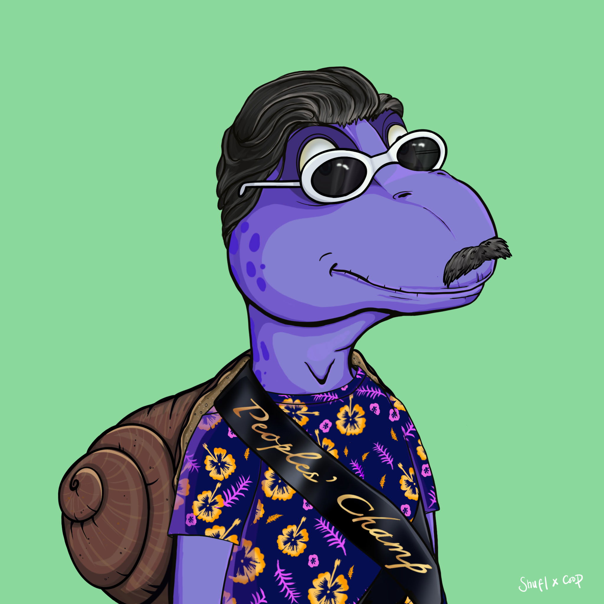 Coopa Troopa #258 NFT on Algorand