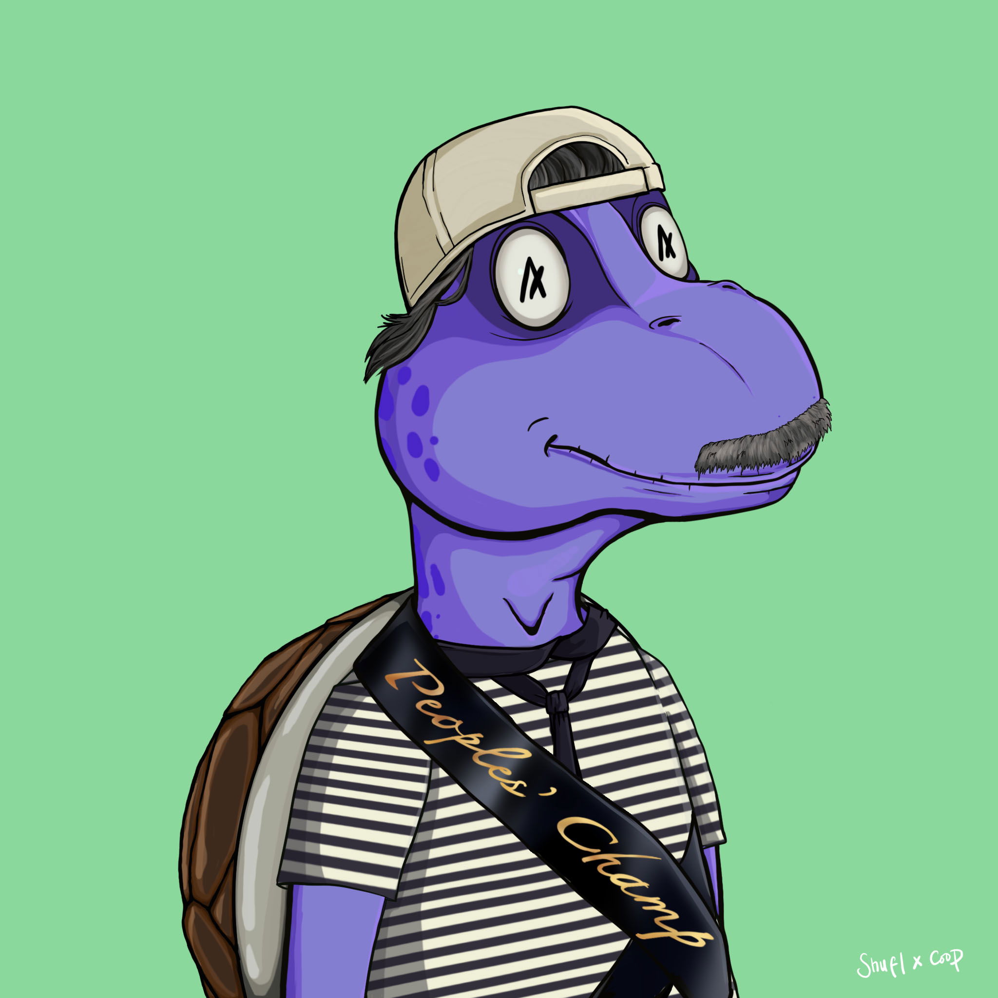 Coopa Troopa #2581 NFT on Algorand