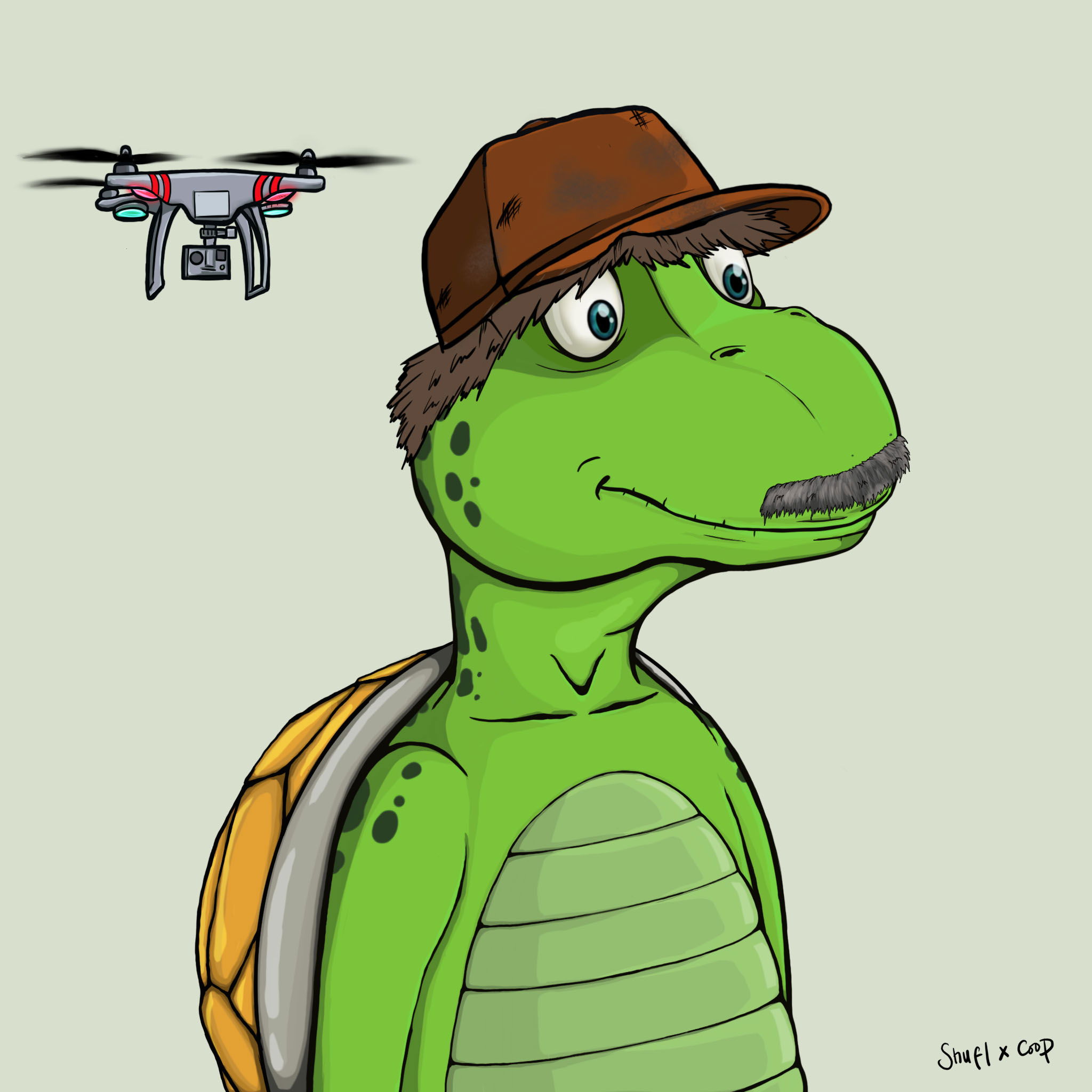 Coopa Troopa #2584 NFT on Algorand