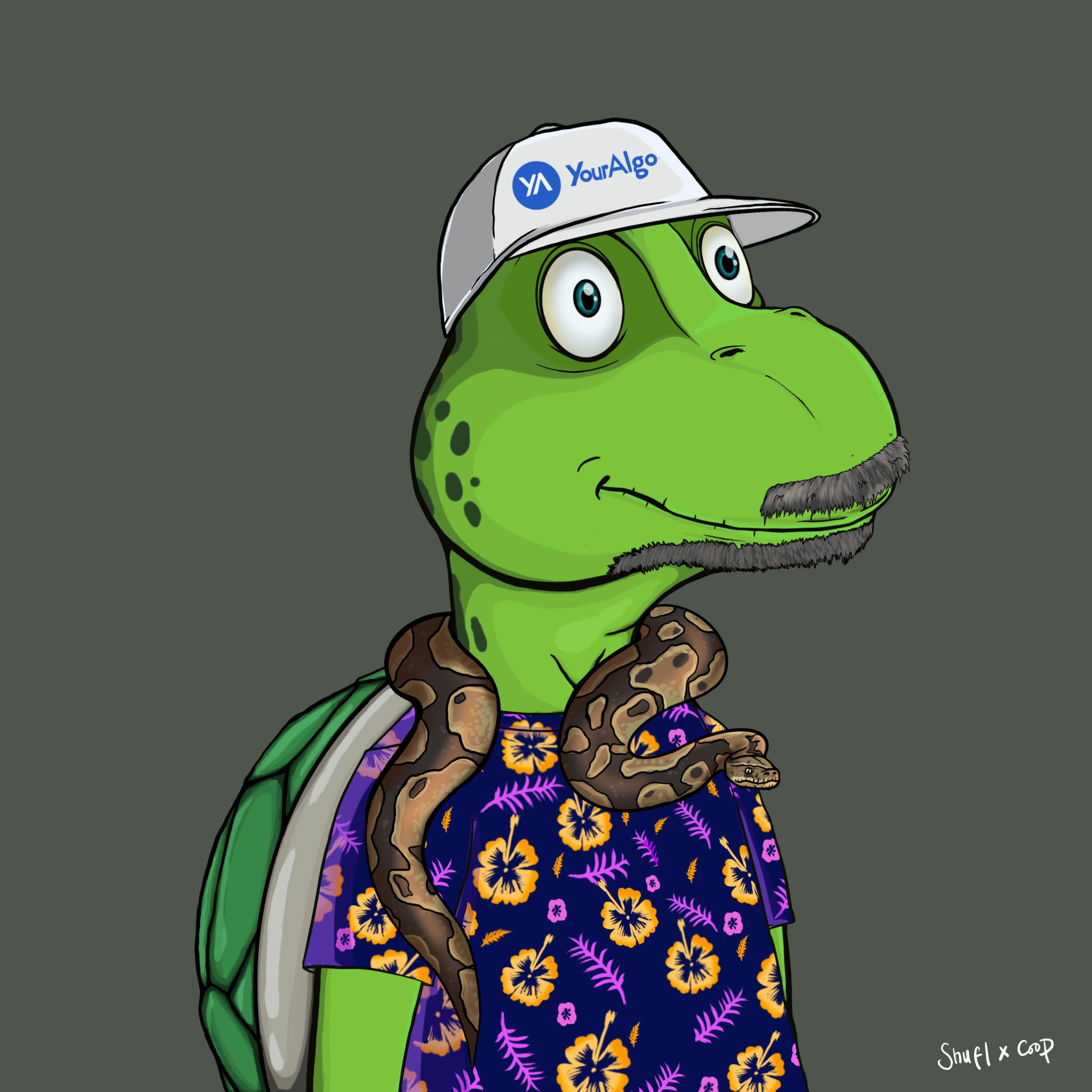 Coopa Troopa #2595 NFT on Algorand