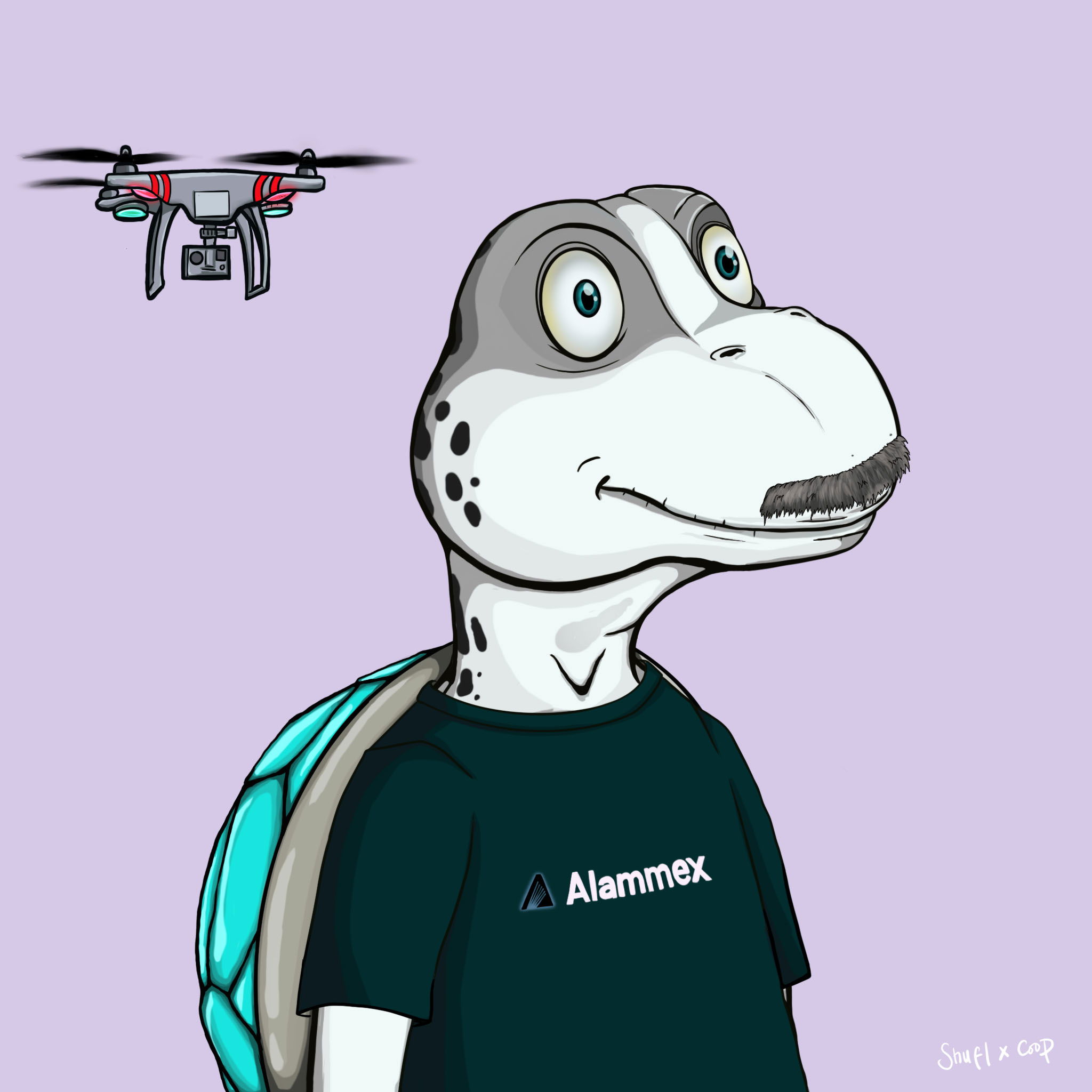 Coopa Troopa #2597 NFT on Algorand