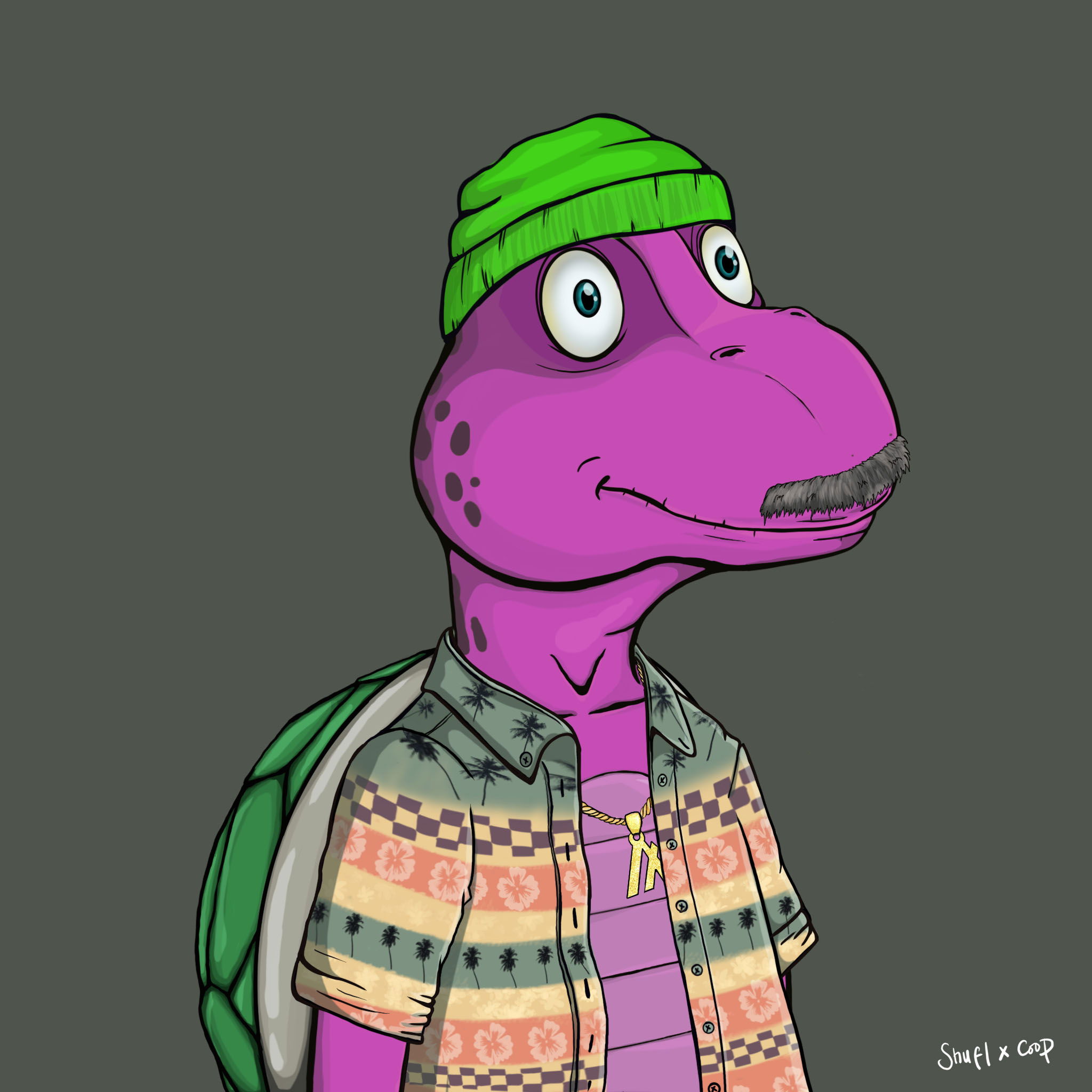 Coopa Troopa #2603 NFT on Algorand