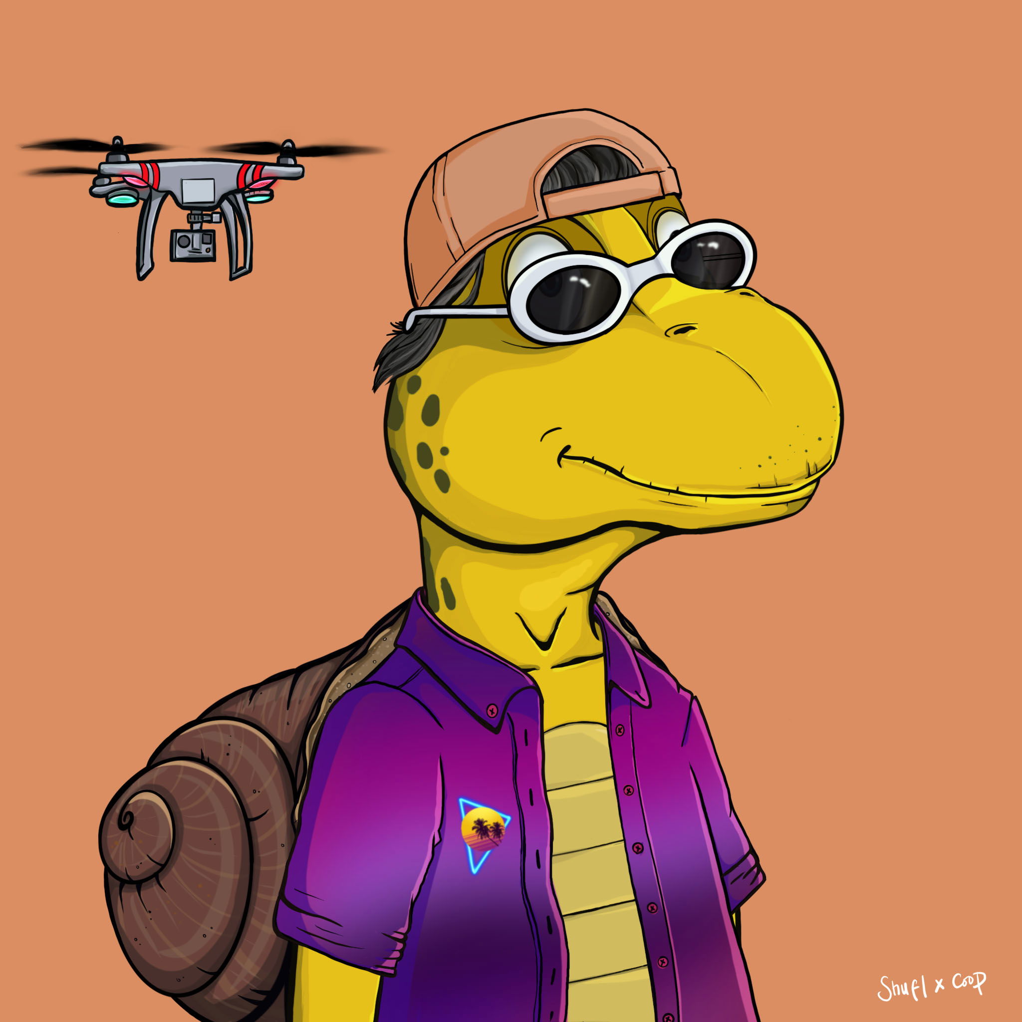 Coopa Troopa #2608 NFT on Algorand