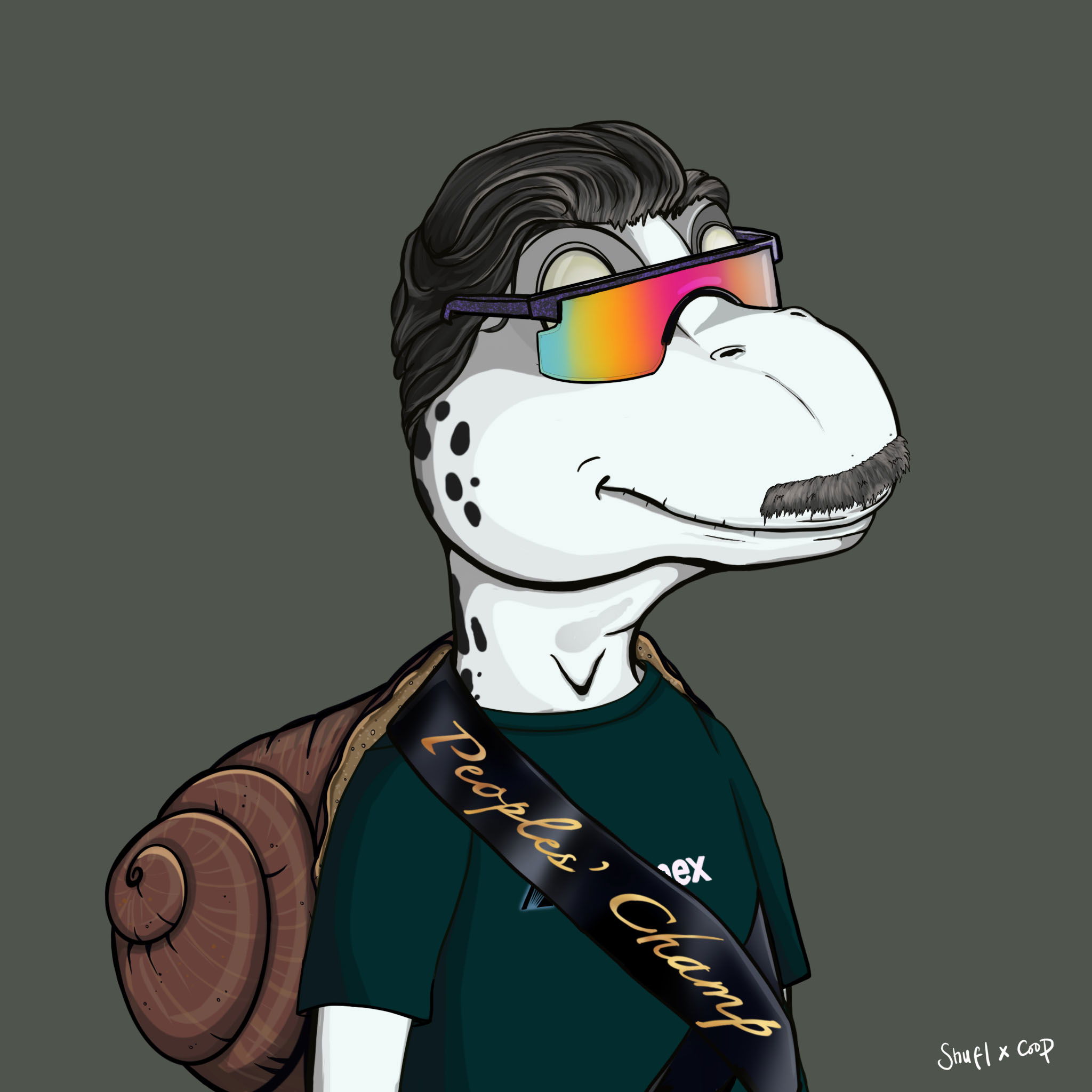 Coopa Troopa #2613 NFT on Algorand