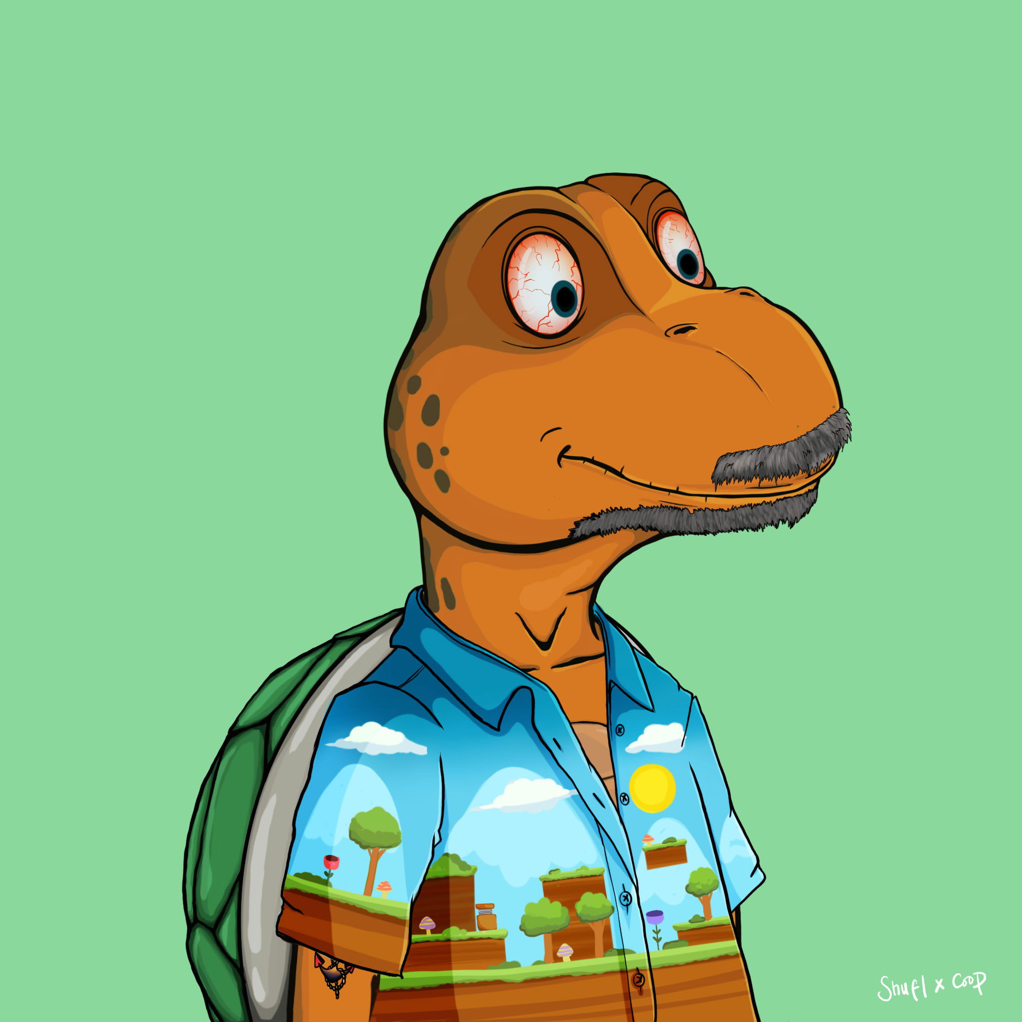 Coopa Troopa #2619 NFT on Algorand