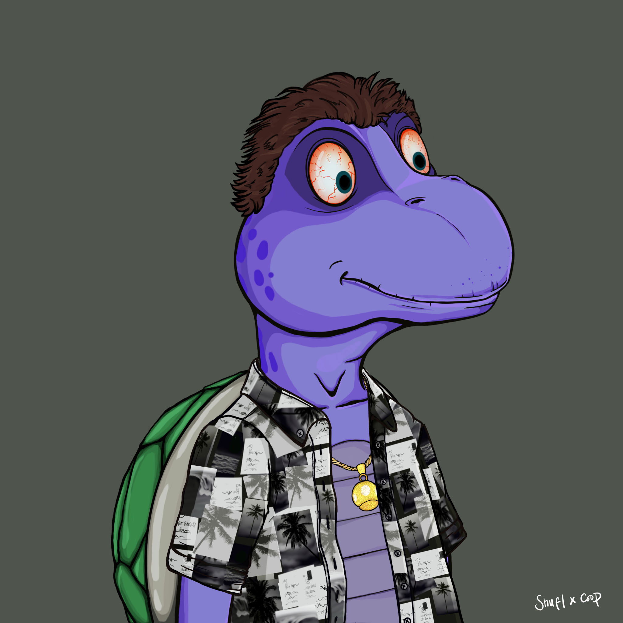 Coopa Troopa #2624 NFT on Algorand