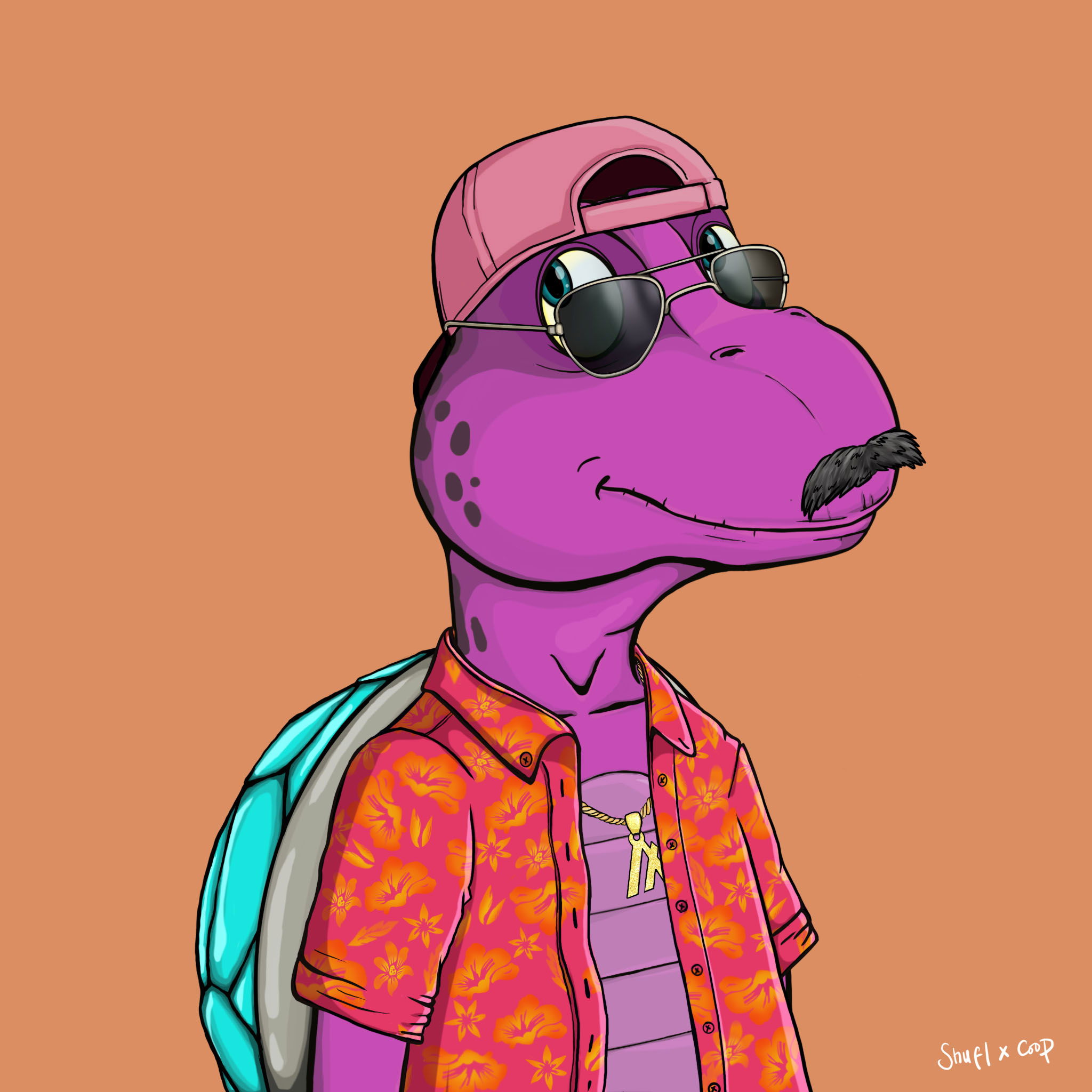 Coopa Troopa #2627 NFT on Algorand