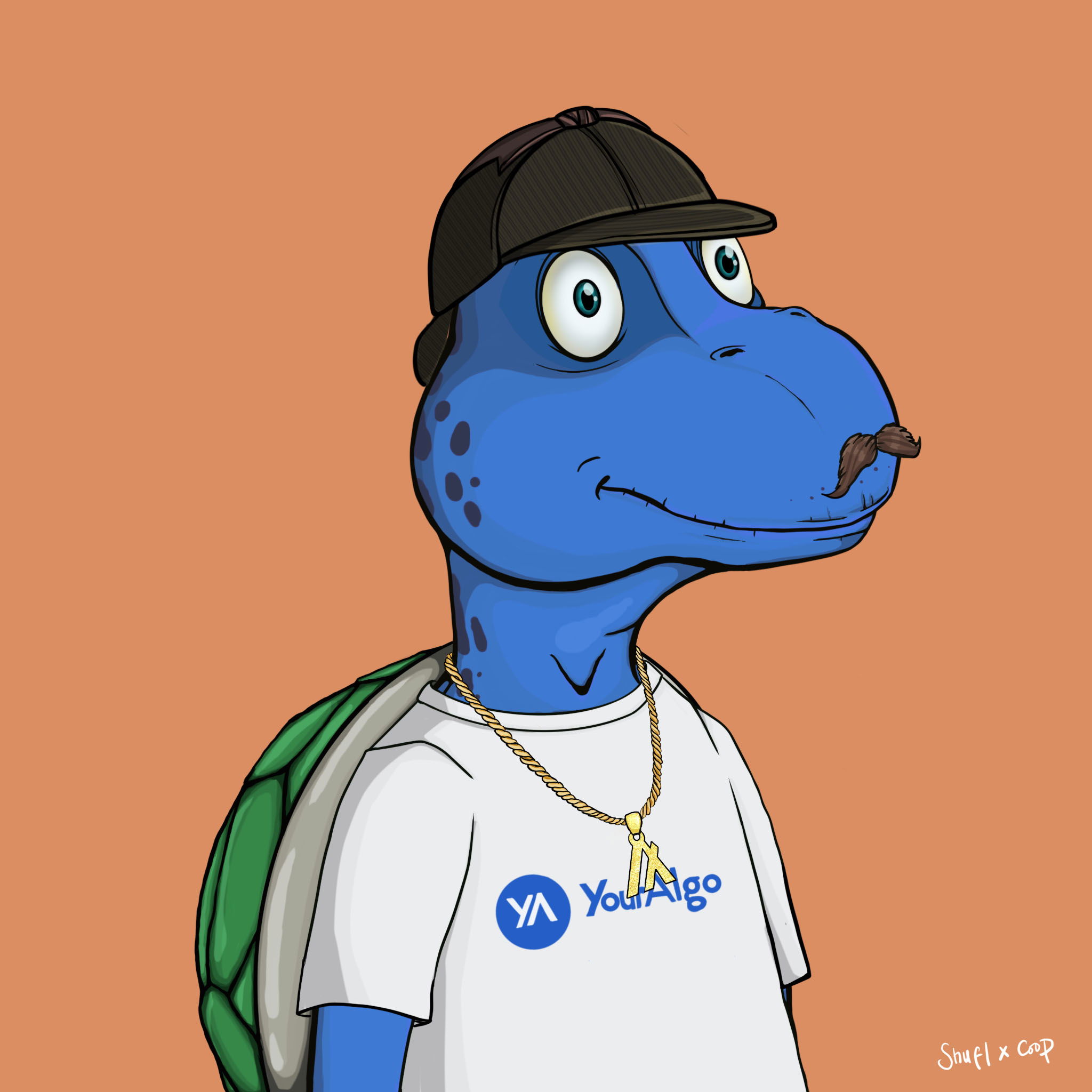 Coopa Troopa #2628 NFT on Algorand